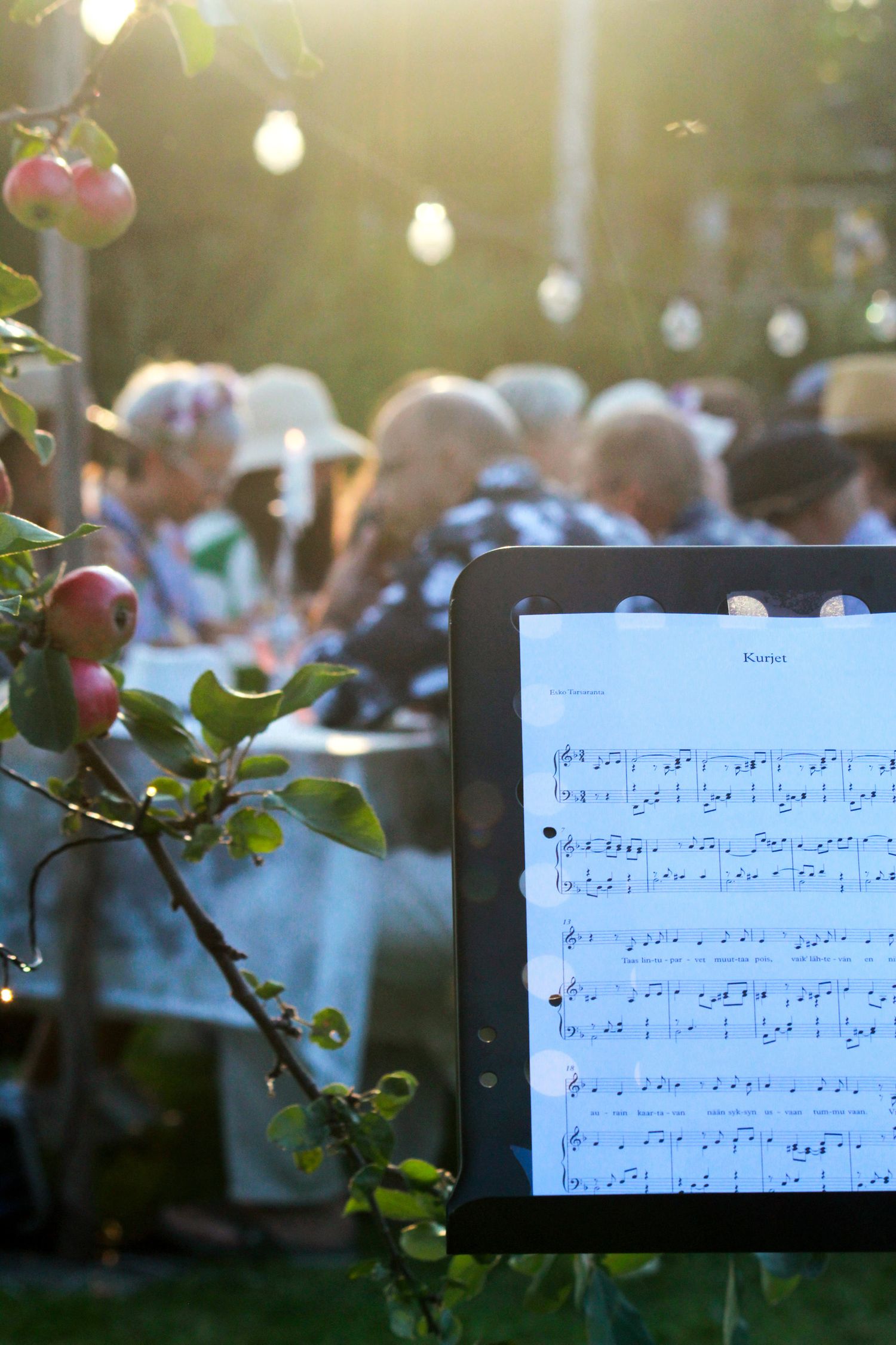 Hääkuvaus Oulussa - vieraat nauttivat livemusiikista puutarhassa