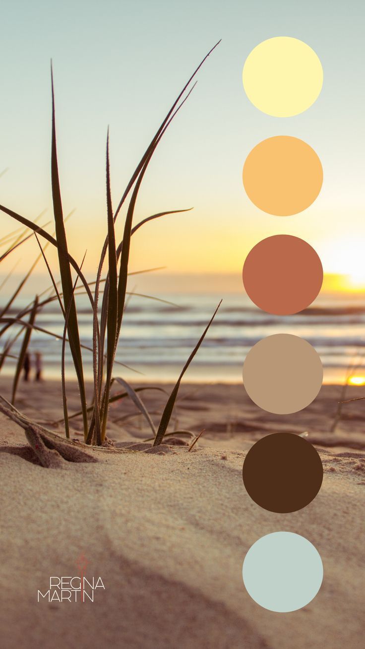 color palette family photos