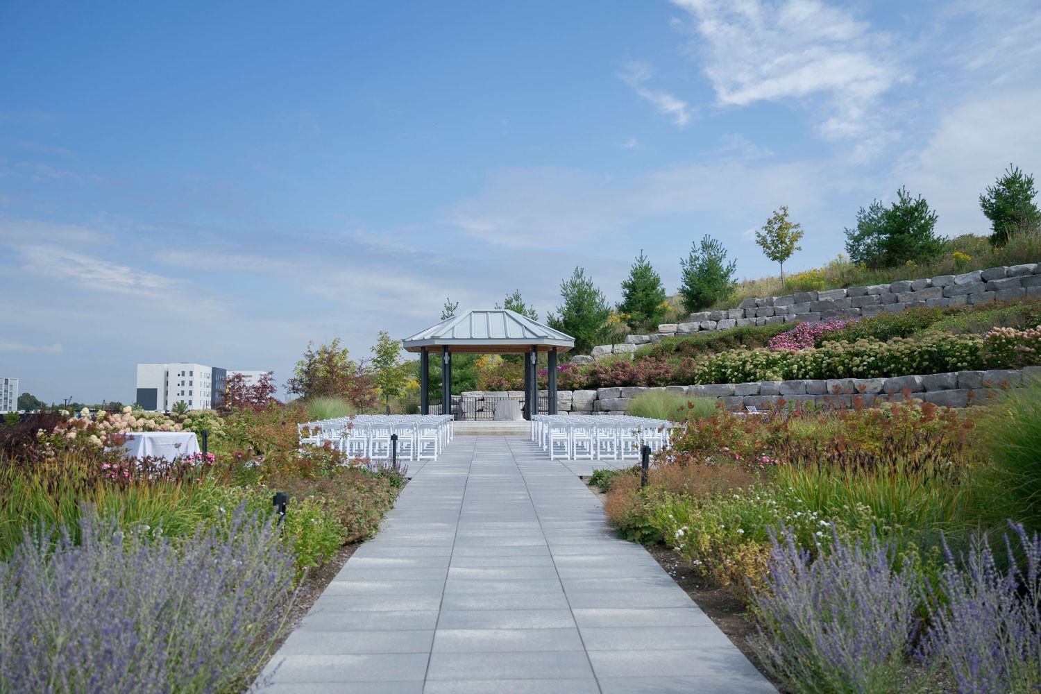 A scenic rooftop garden pathway with blooming flowers and native plants against a blue sky backdrop.