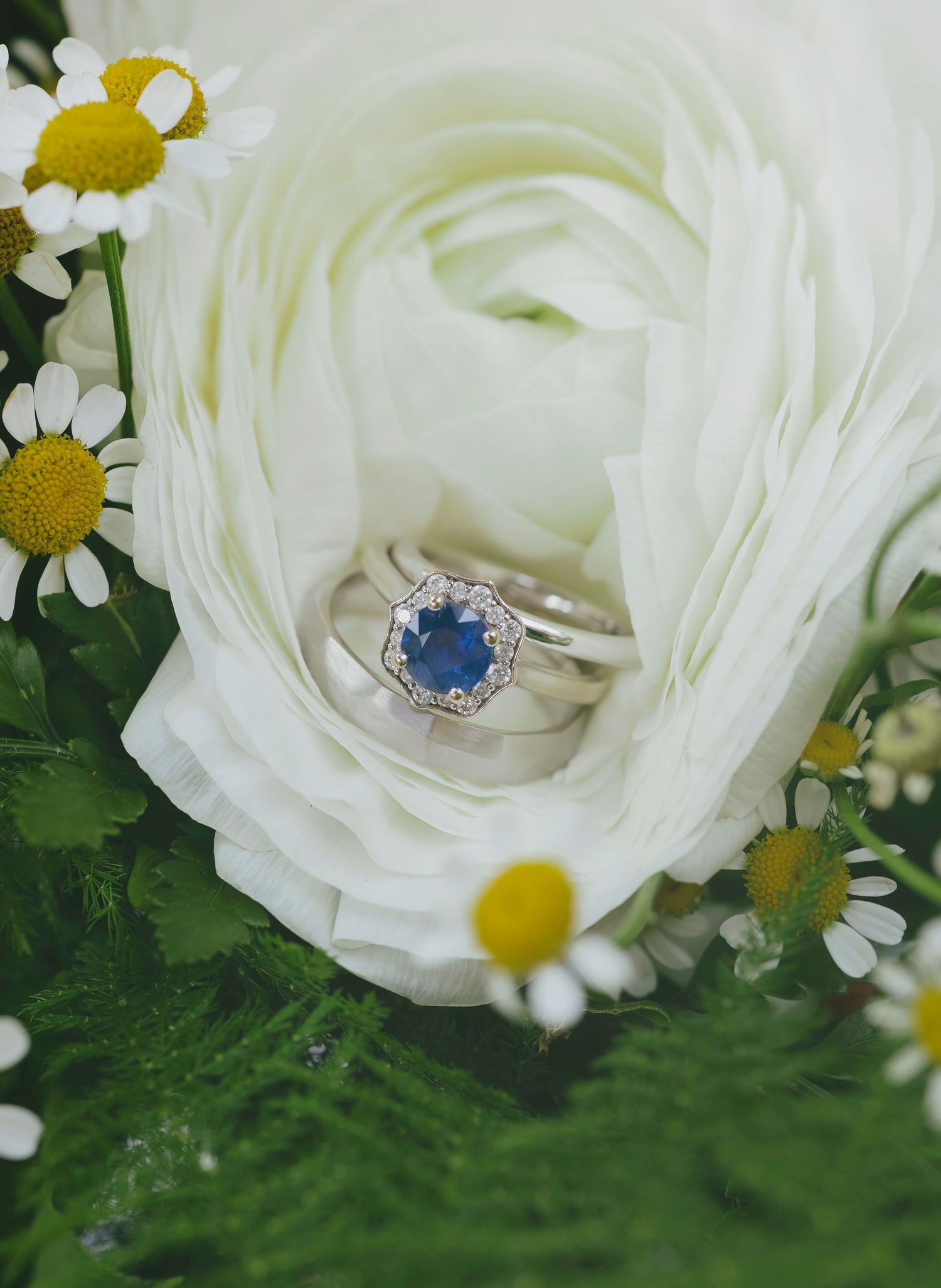 Close-up of wedding rings nestled in white roses with daisies and greenery.