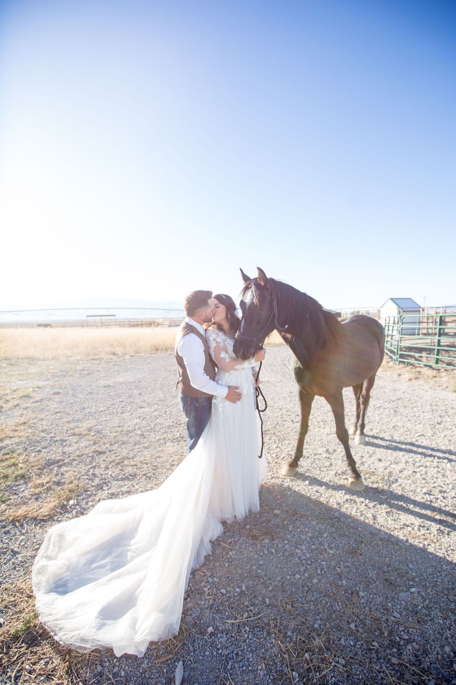 A couple in wedding attire interacts with a brown horse against a bright desert backdrop.