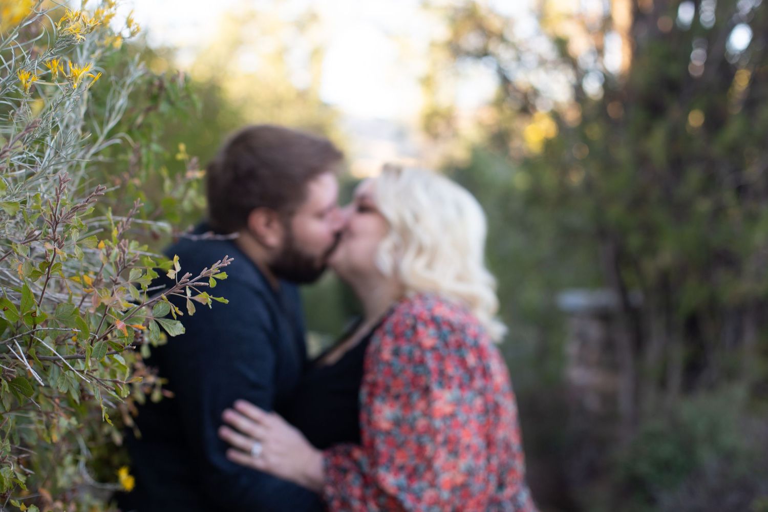 Romantic sunset moment among autumn trees and foliage.