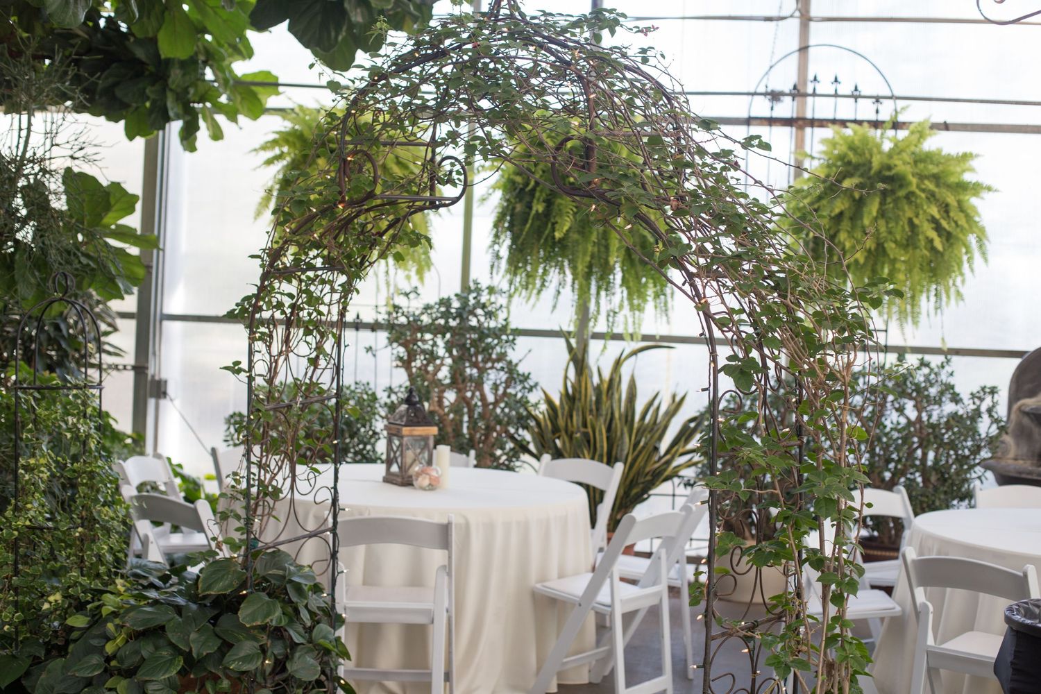 Greenhouse interior with lush green plants and white decor visible through glass panels.