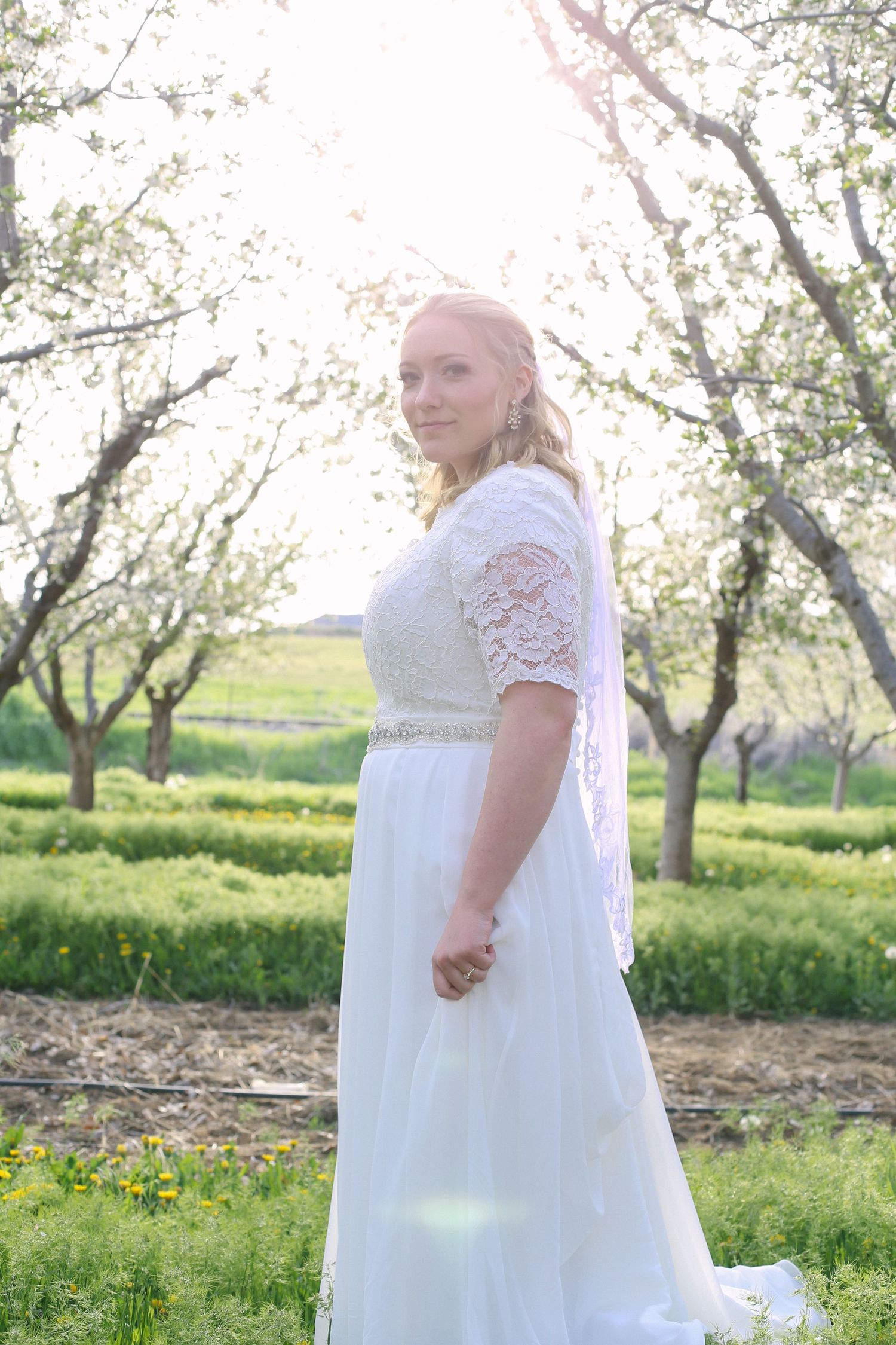 Bride in white lace dress poses in blooming spring orchard during wedding photoshoot.