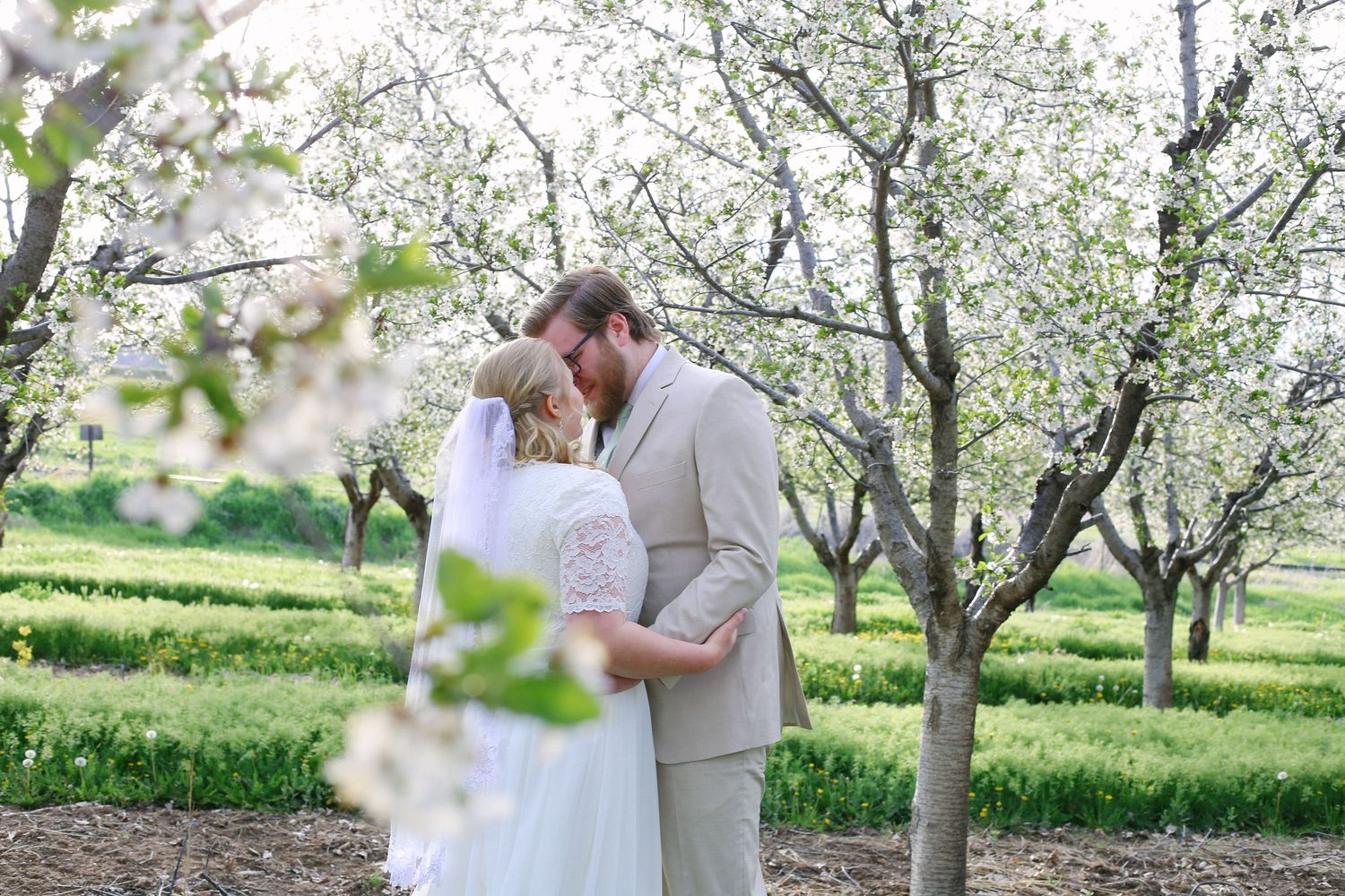 Spring wedding photography session among blooming fruit trees in an orchard.
