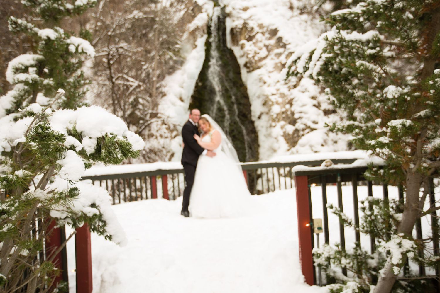 Winter wedding ceremony site with snow-covered trees and decorative lighting.