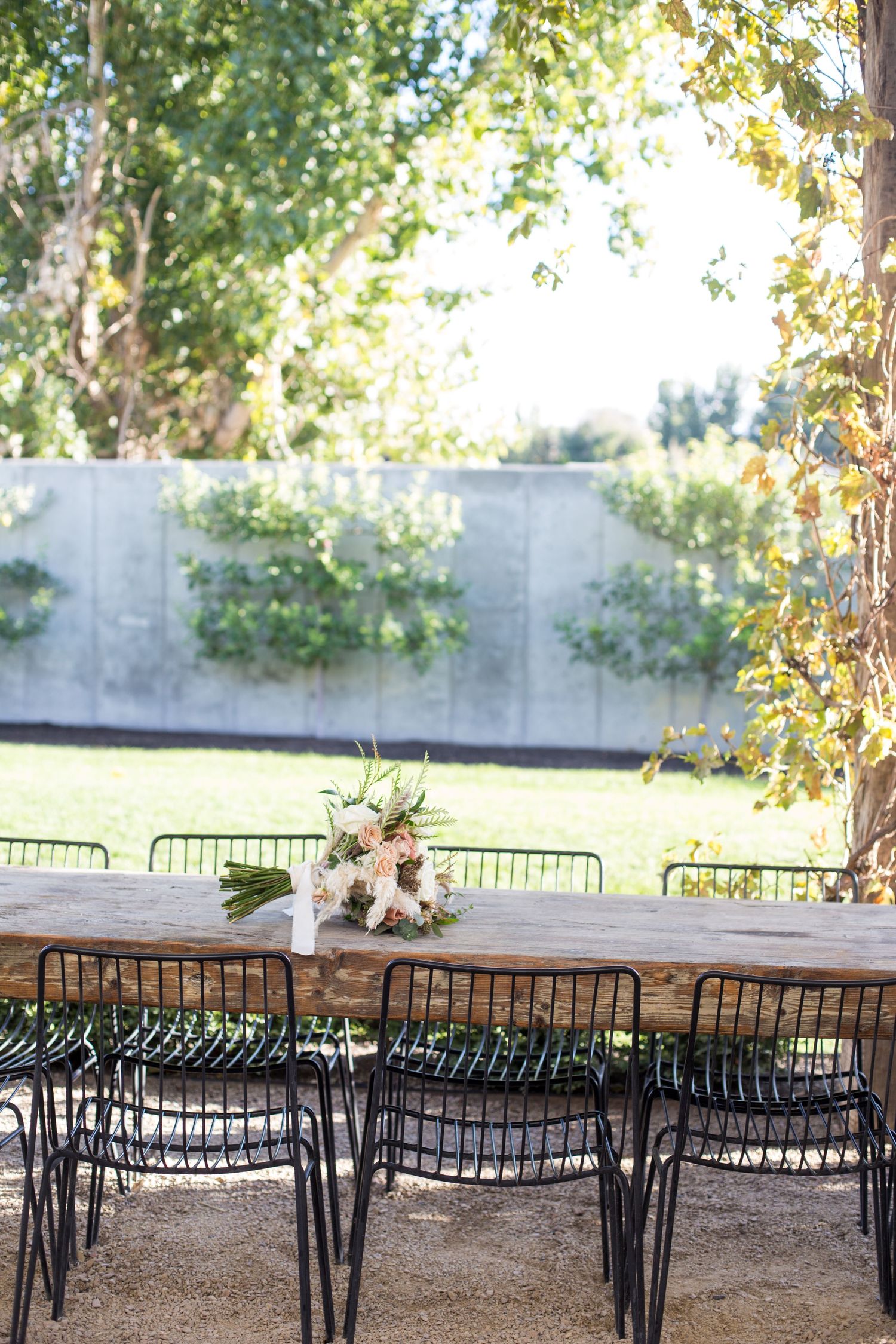 Modern black chairs set up for an outdoor wedding ceremony under trees.