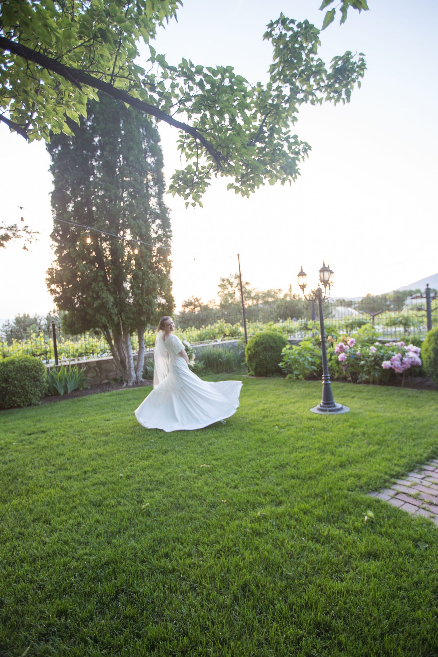 Wedding dress photos in a lush green garden setting with trees and natural lighting at sunset.