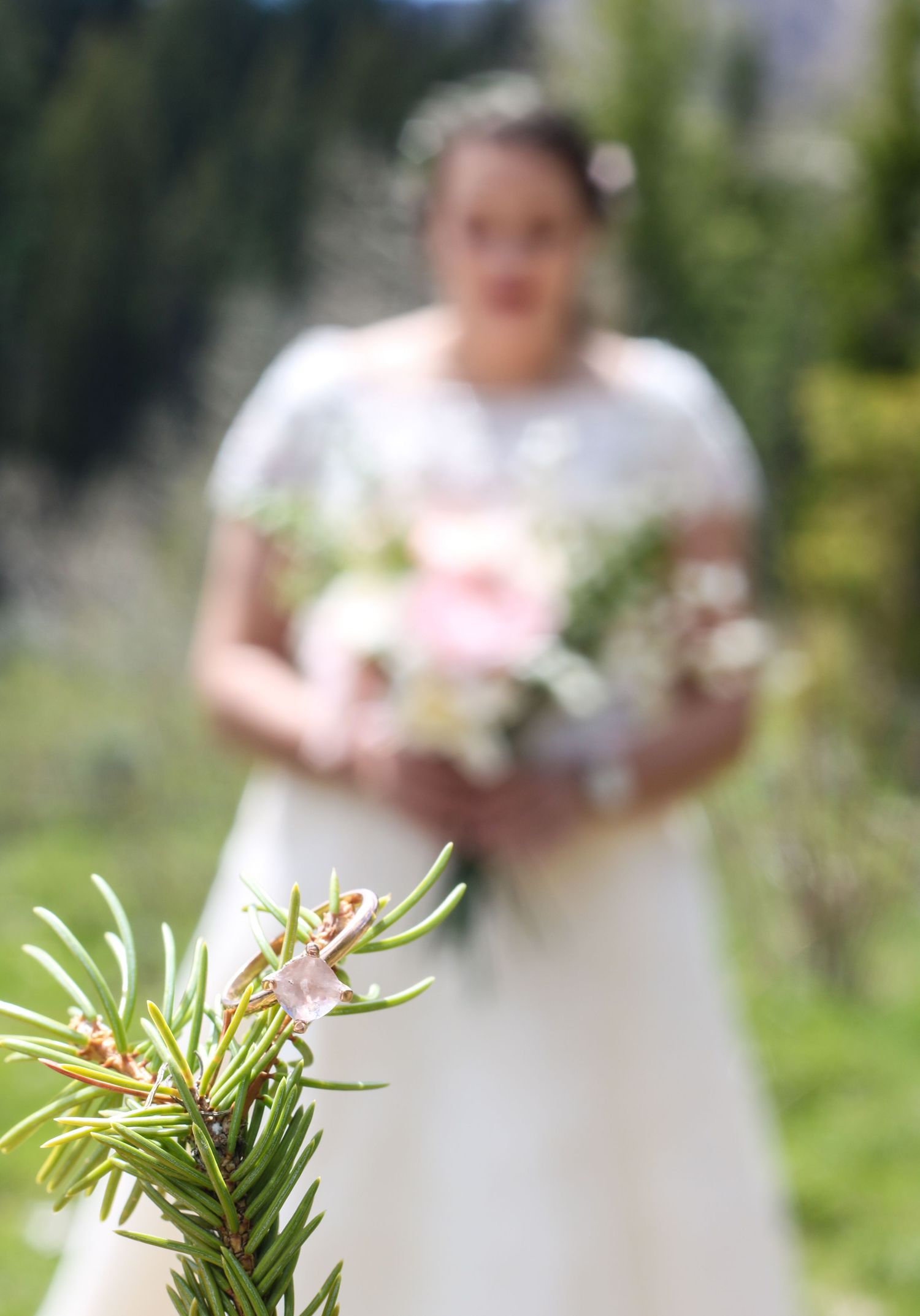Close-up of pine branch with wedding couple blurred in background.