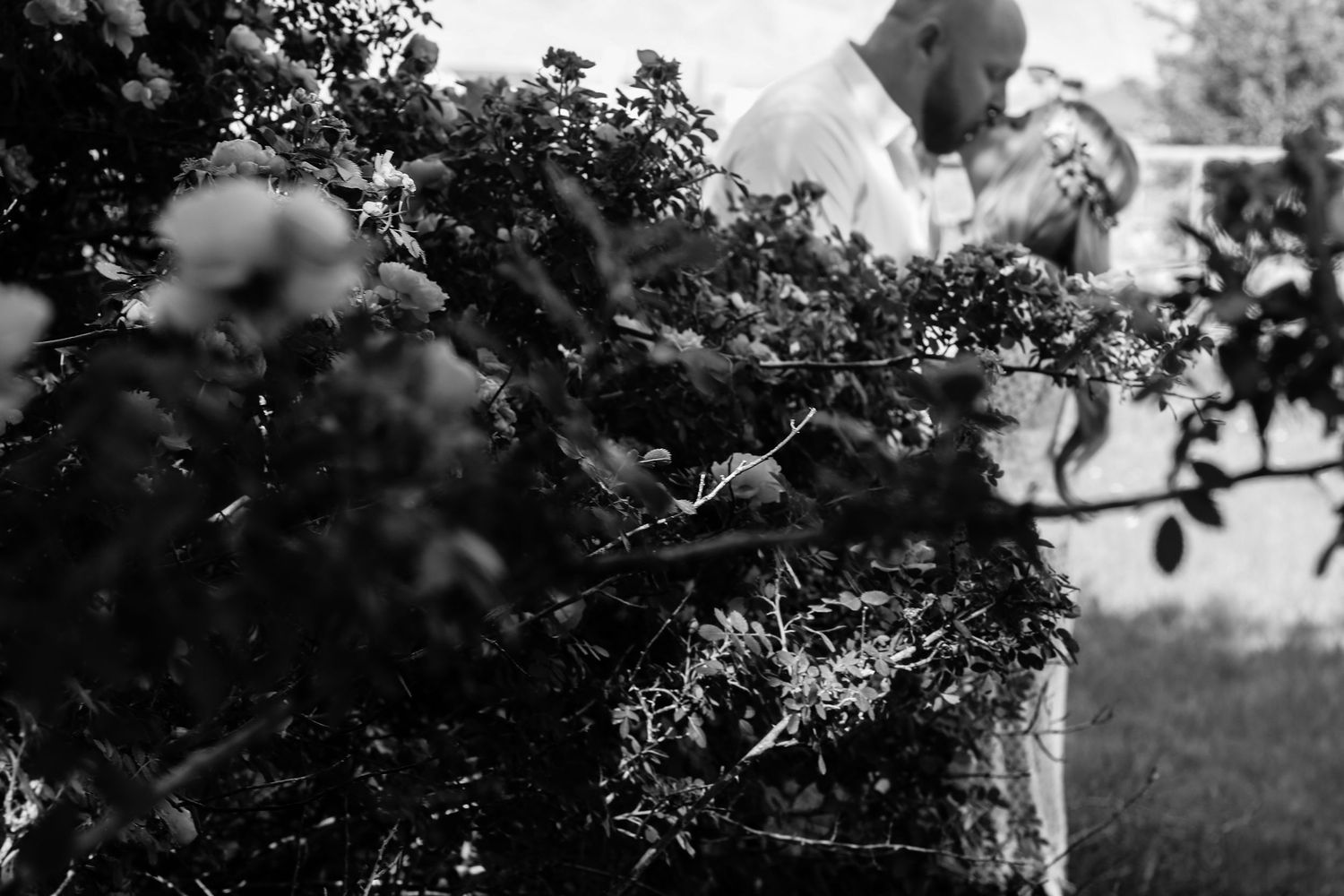 Silhouetted branches and leaves create a dramatic black and white nature frame.