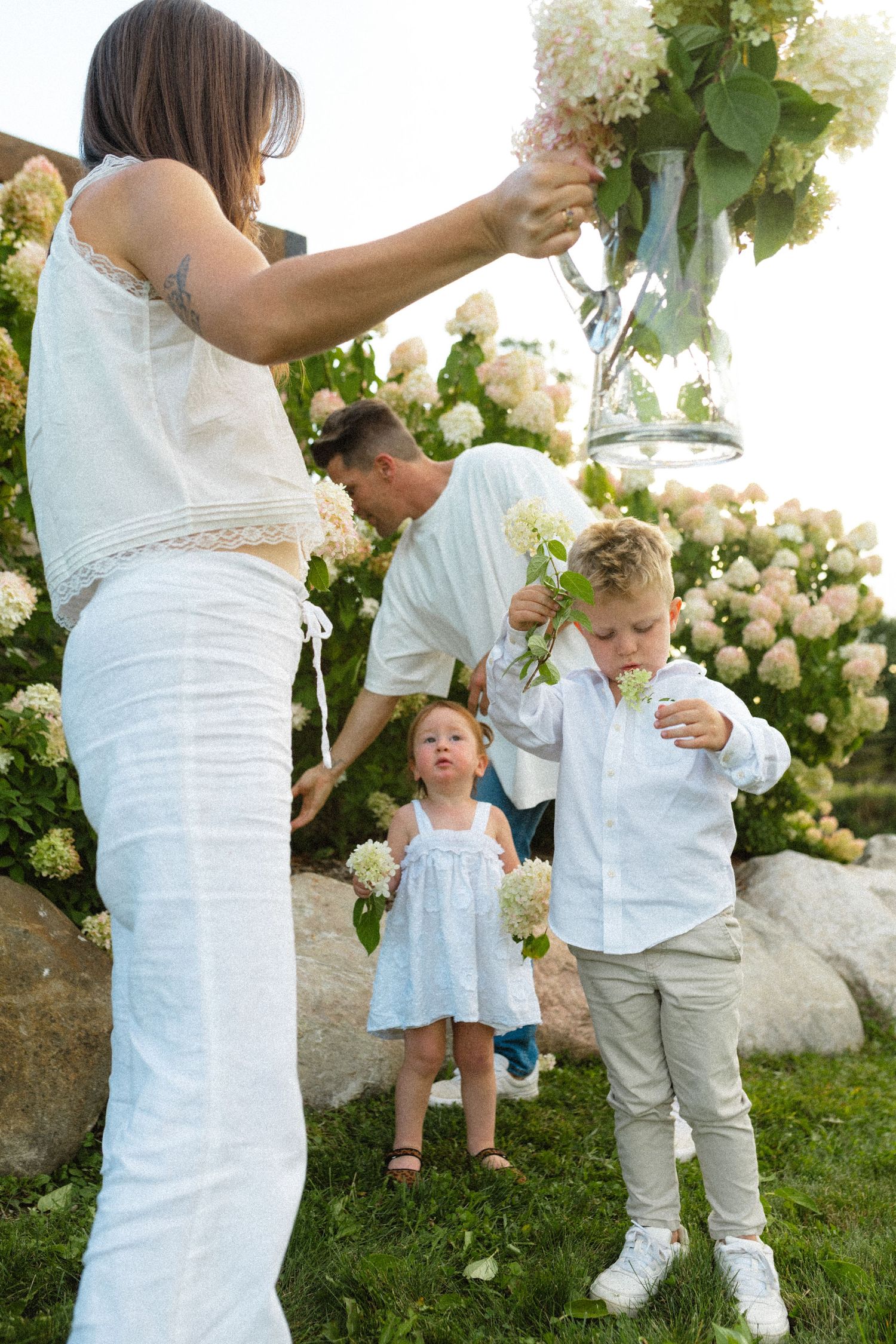 Family in white outfits arranging hydrangea flowers in a garden during golden hour.