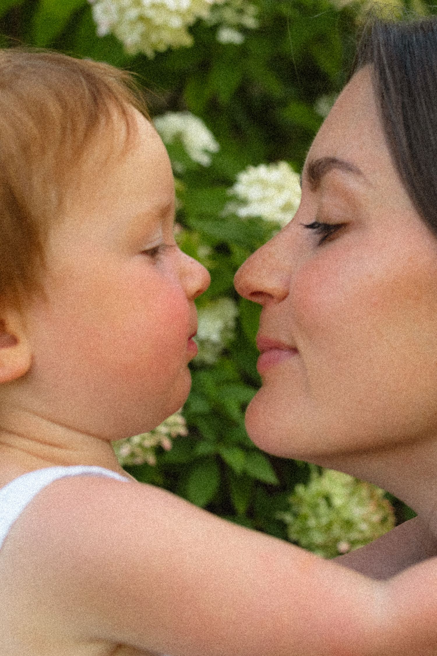 Tender close-up of a mother and baby girl facing each other near white hydrangea flowers.
