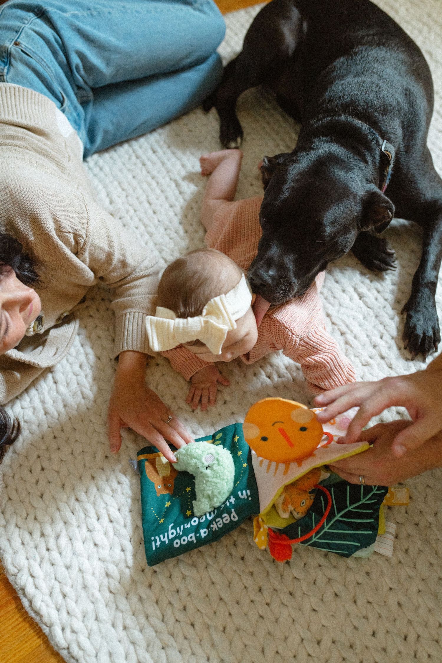 Overhead view of parents and baby reading a peek-a-boo book with a black dog on a white rug.