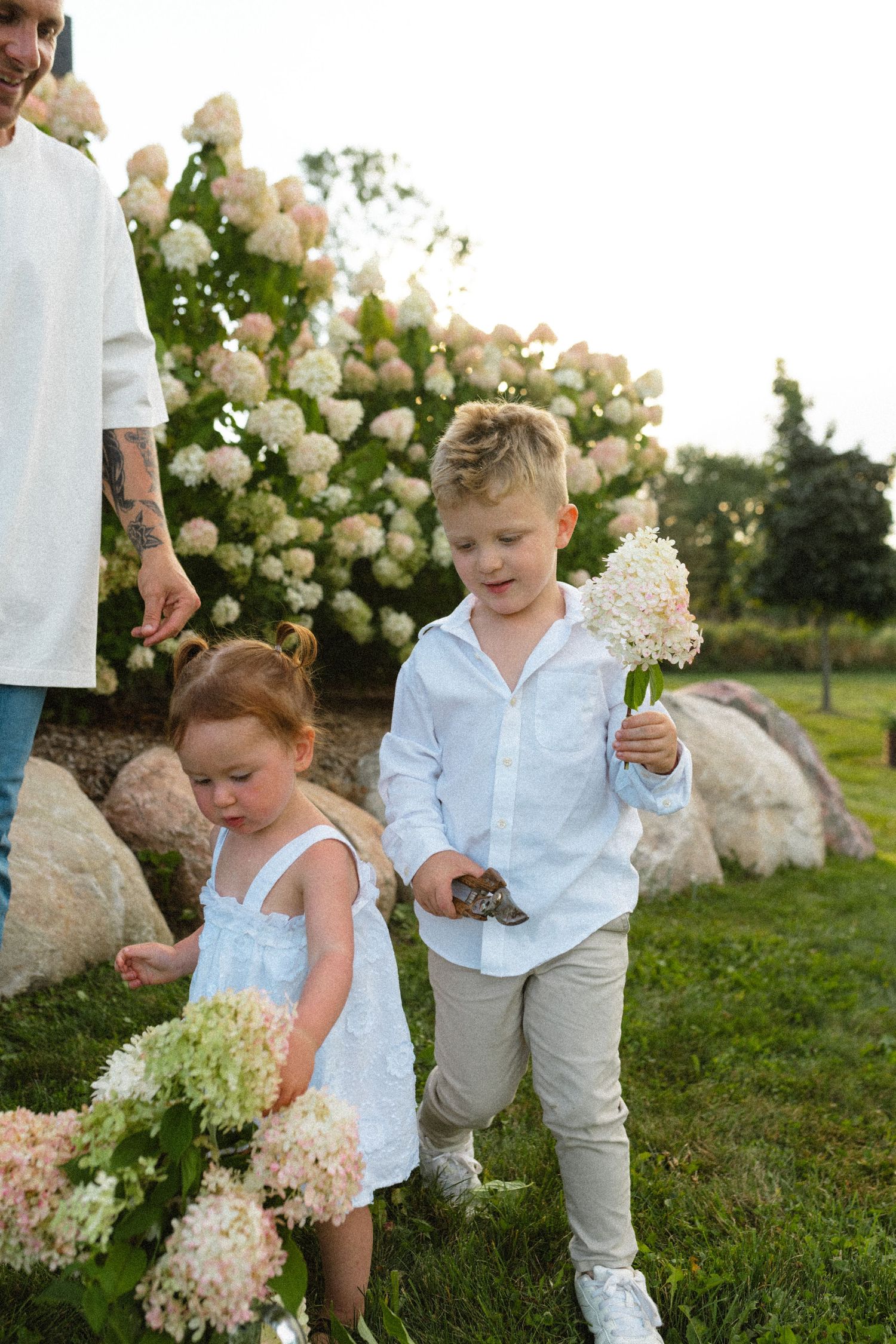 Two young children in white clothing hold hydrangea flowers outdoors near blooming bushes.