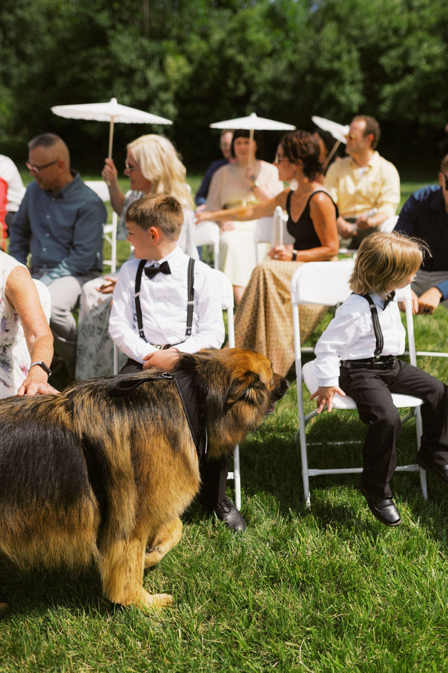 Two boys in white shirts and suspenders with German Shepherd dog at outdoor wedding.