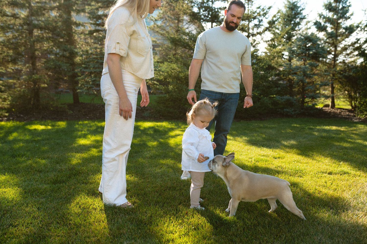 Young family with baby and French bulldog enjoying sunny day on green grass in backyard park setting.
