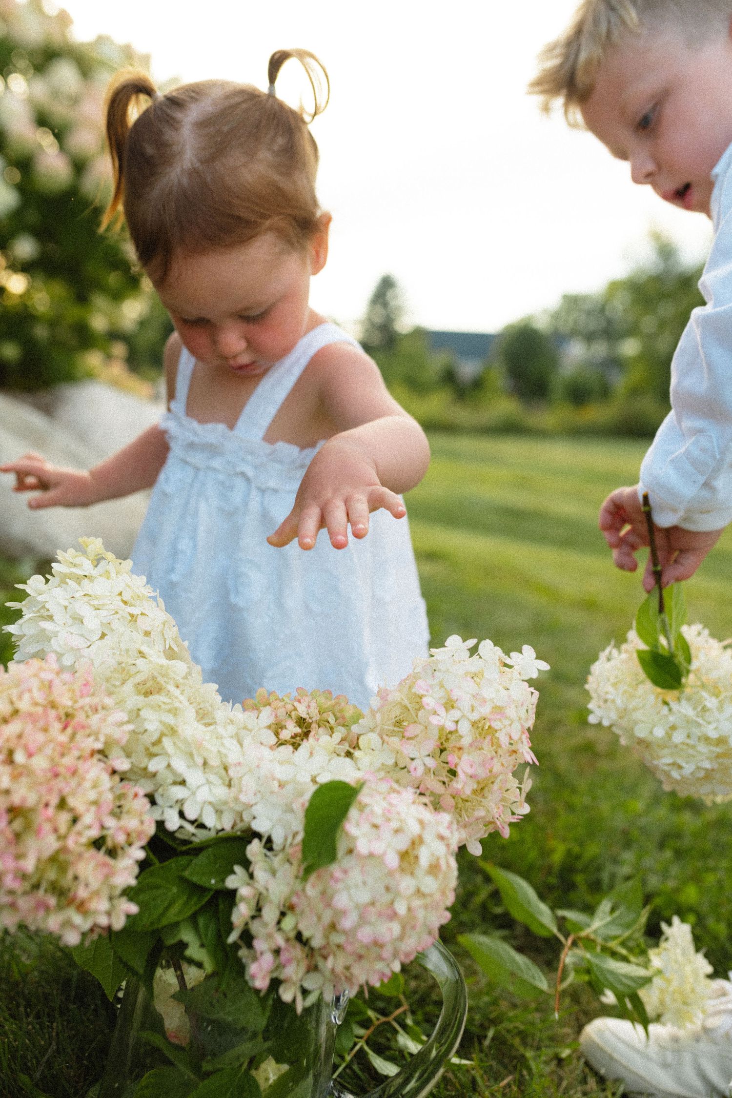 Two toddlers in pastel outfits exploring white hydrangea flowers outdoors in summer garden.
