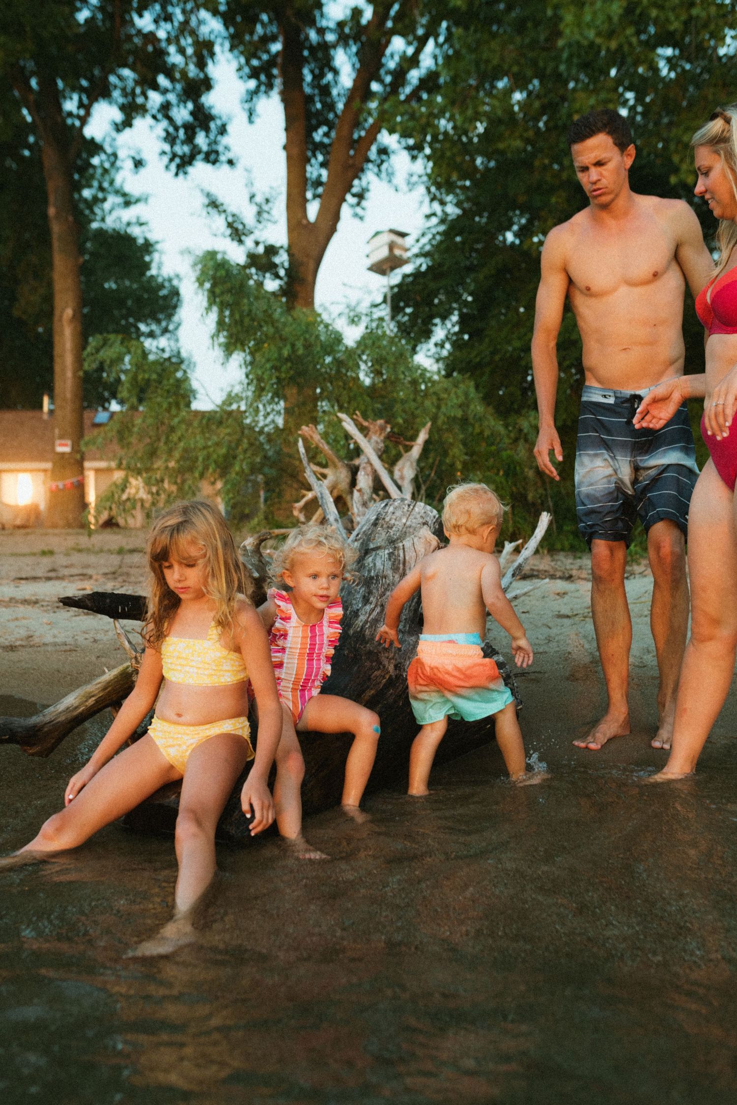 Family with young children wading in shallow water near driftwood on a beach at dusk.