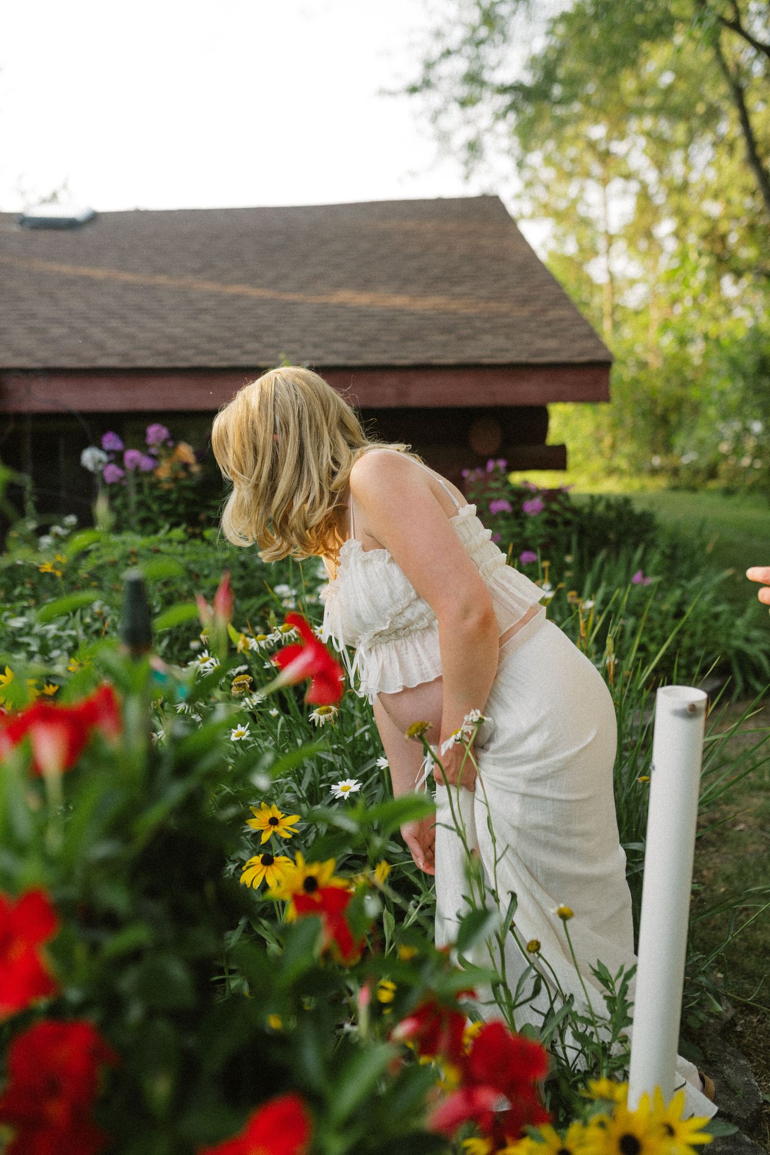A pregnant woman in a white dress leaning over colorful garden flowers outside a rustic barn.