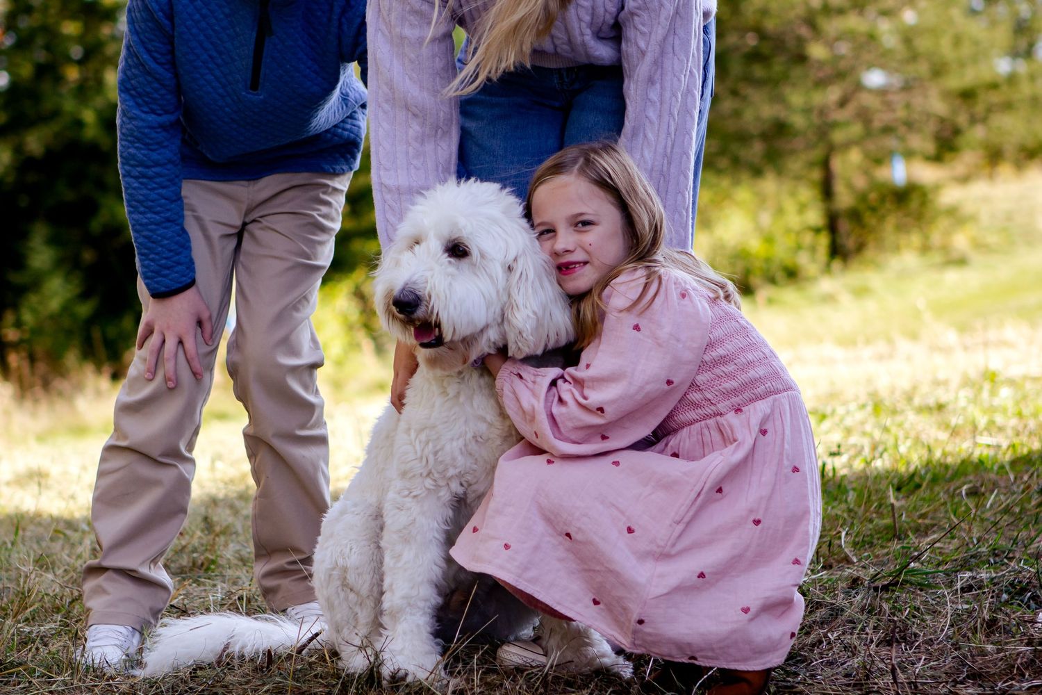 A large white Goldendoodle dog sits in a grassy outdoor setting on a sunny day at a Lake Country Family session