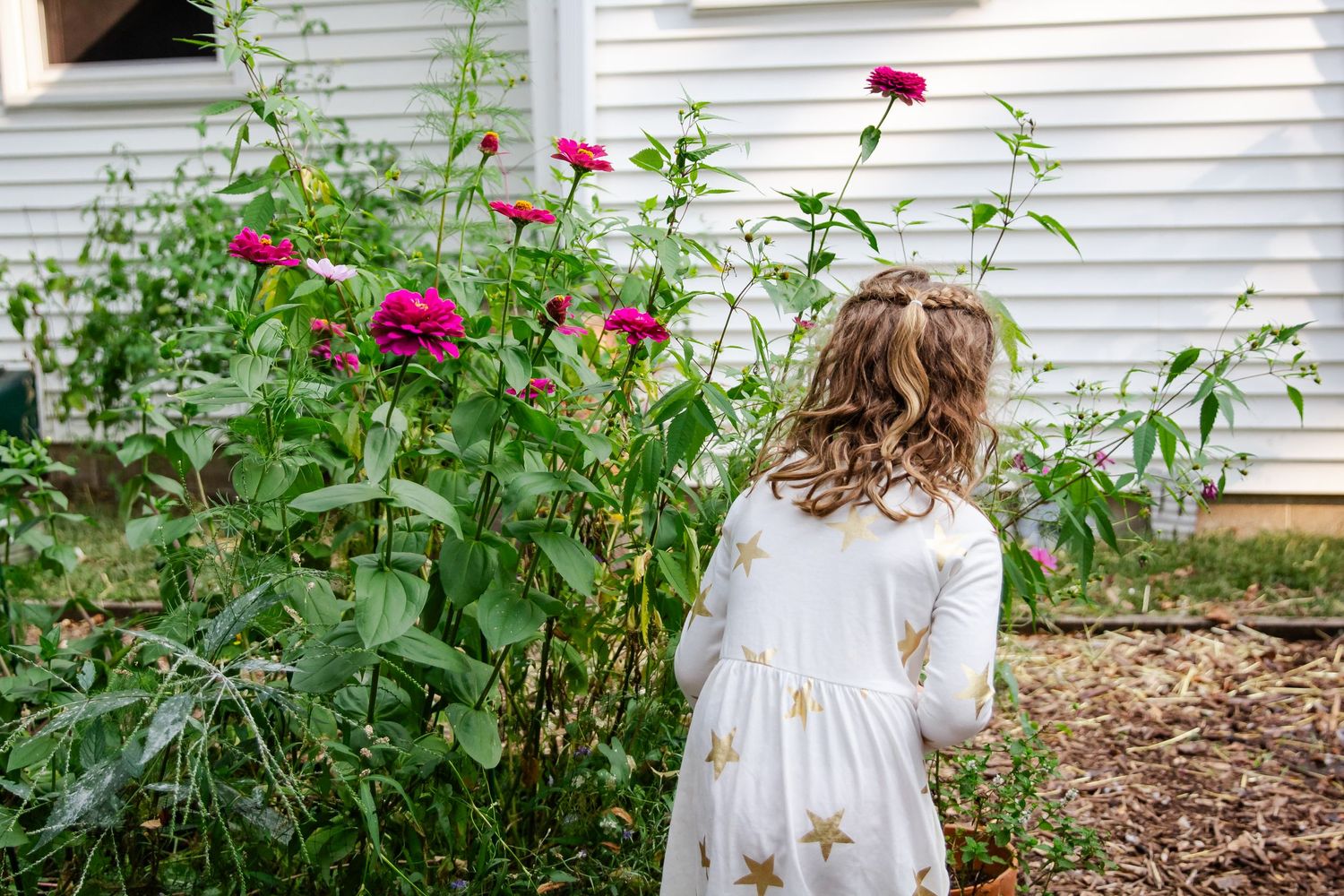 Small child in white dress stands near tall red zinnias growing beside white house siding at Delafield home session