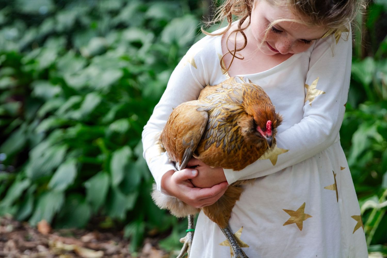 A small ginger kitten being held and cuddled by someone wearing a white sweater in an outdoor garden setting at Delafield home session