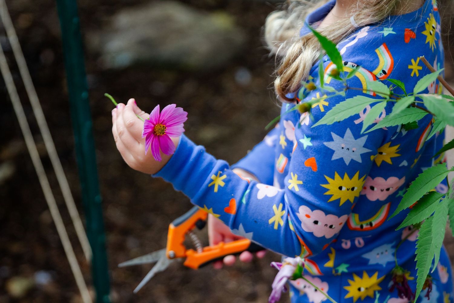 A small hand in a blue floral coat holds a delicate pink flower while gardening at Delafield home session
