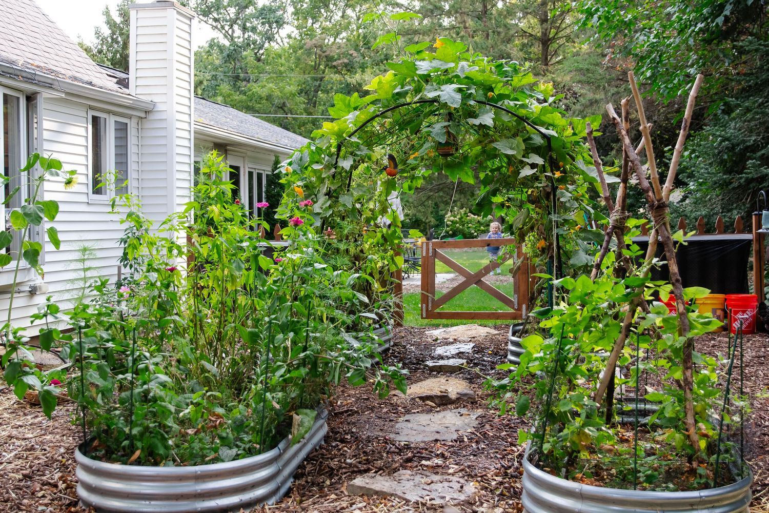 A garden path leads through an arched trellis between raised galvanized metal planters filled with growing vegetables at Delafield session