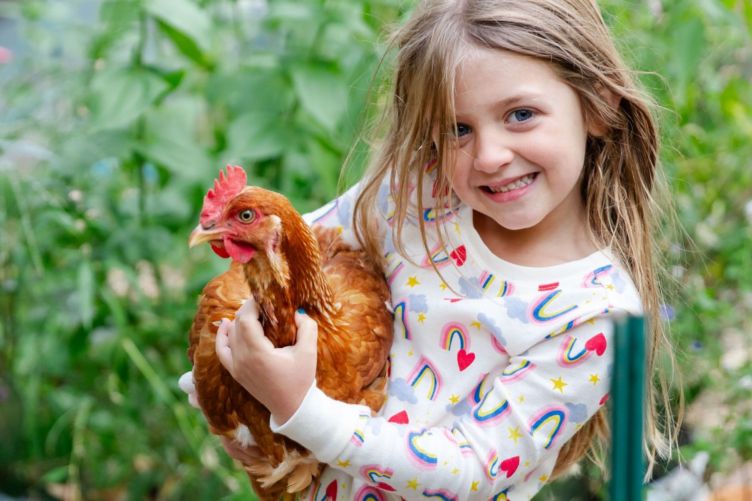 Young child wearing a patterned shirt holds a brown chicken while standing in a lush green garden at Delafield home session
