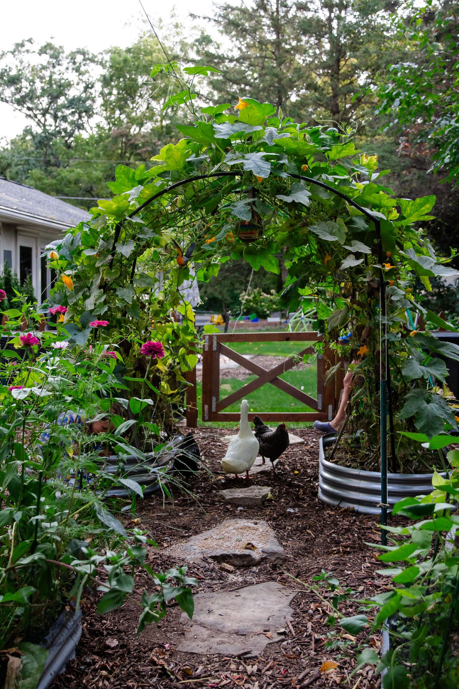 A rustic garden path leads through raised garden beds with climbing vines and mulched soil surrounded by lush greenery at Delafield session