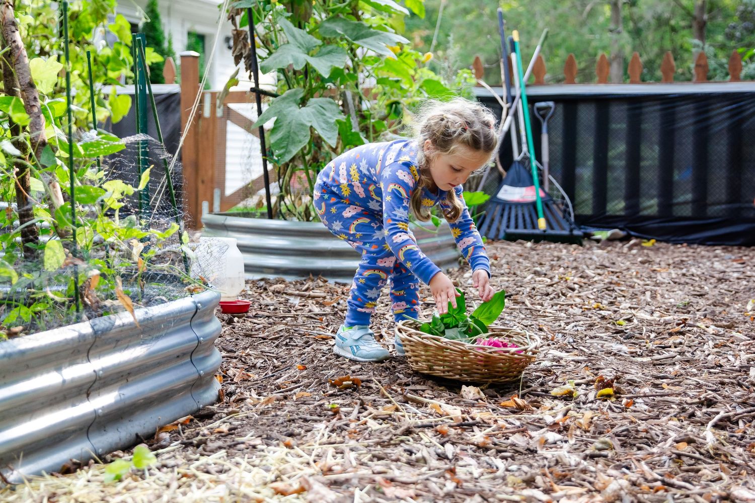 A young explorer searches for Easter eggs hidden among fallen leaves in a garden path during an outdoor hunt at Delafield home session