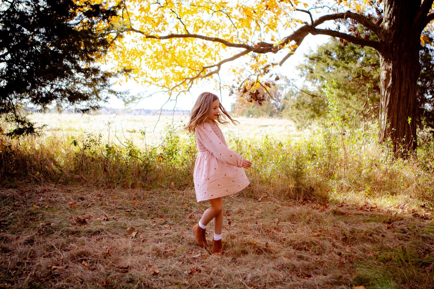 A series of connected photos shows someone in a pink dress twirling through a sunlit field at golden hour at an Oconomowoc family session