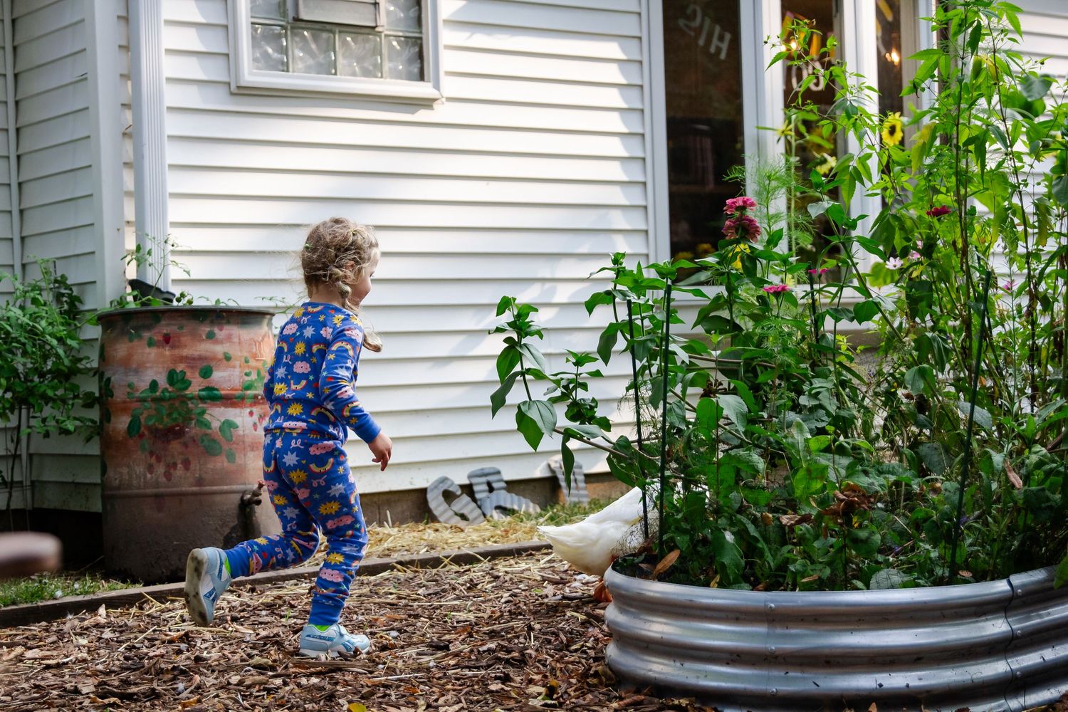 A child in blue overalls explores a lush backyard garden with white house siding visible in the background at Delafield home session