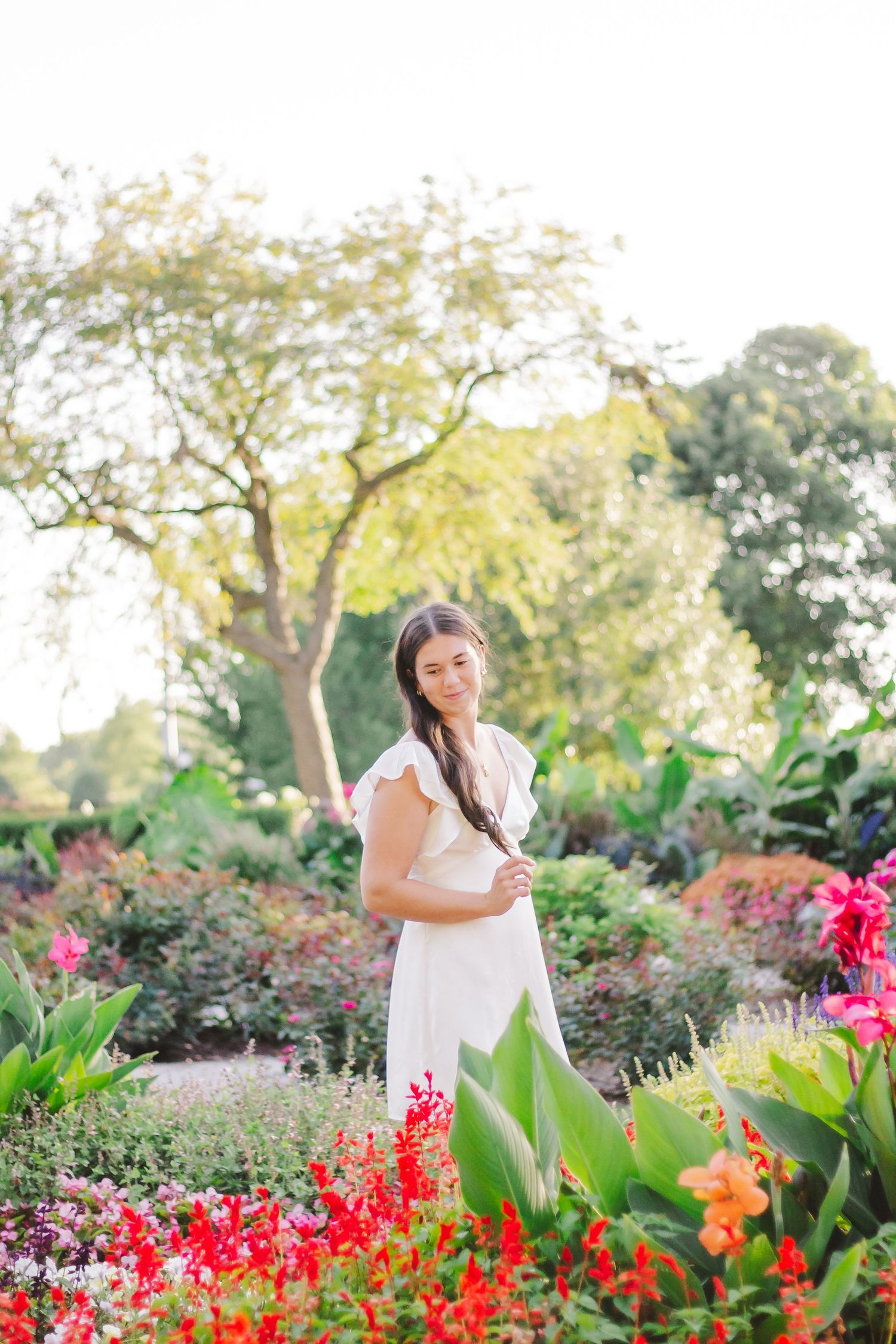 Beautiful garden scene with vibrant red flowers and lush greenery creating a natural backdrop.