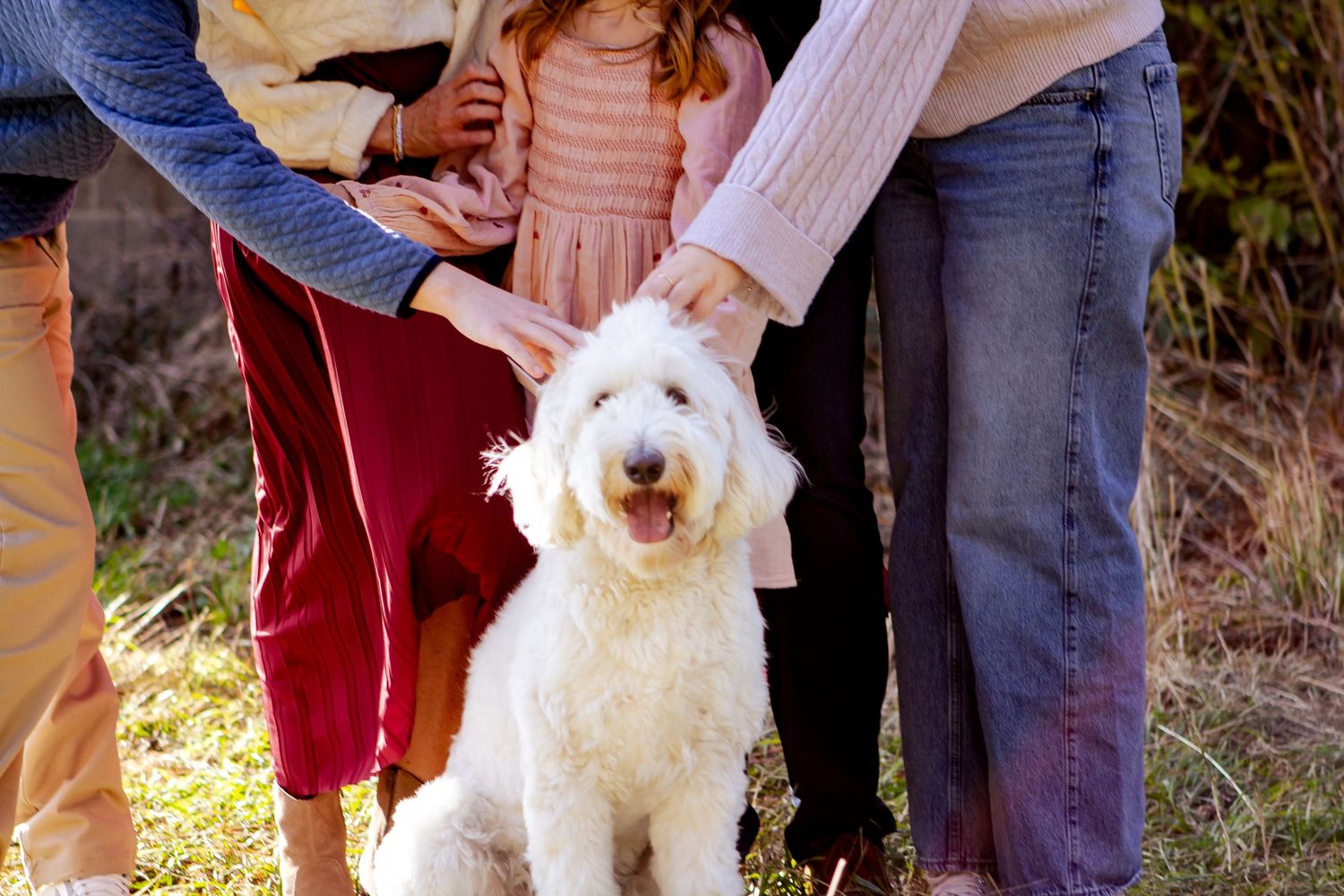 Family members walking together with their white fluffy dog on an autumn day.