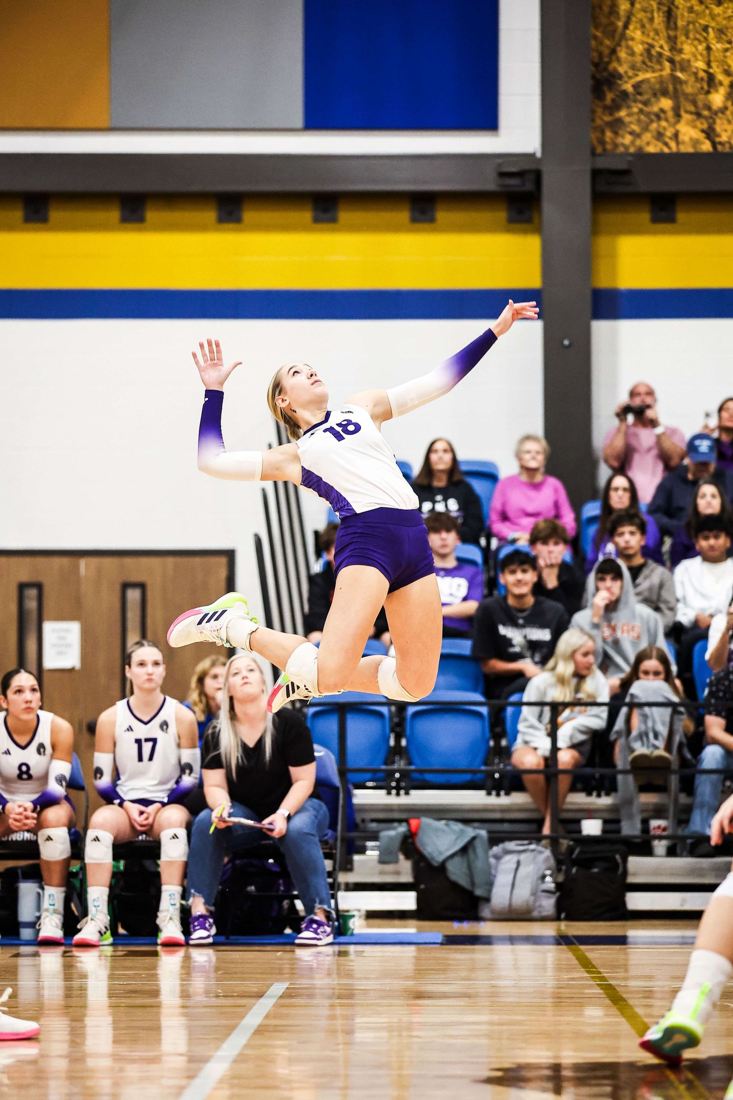 Volleyball player dives for the ball during indoor match with spectators watching.