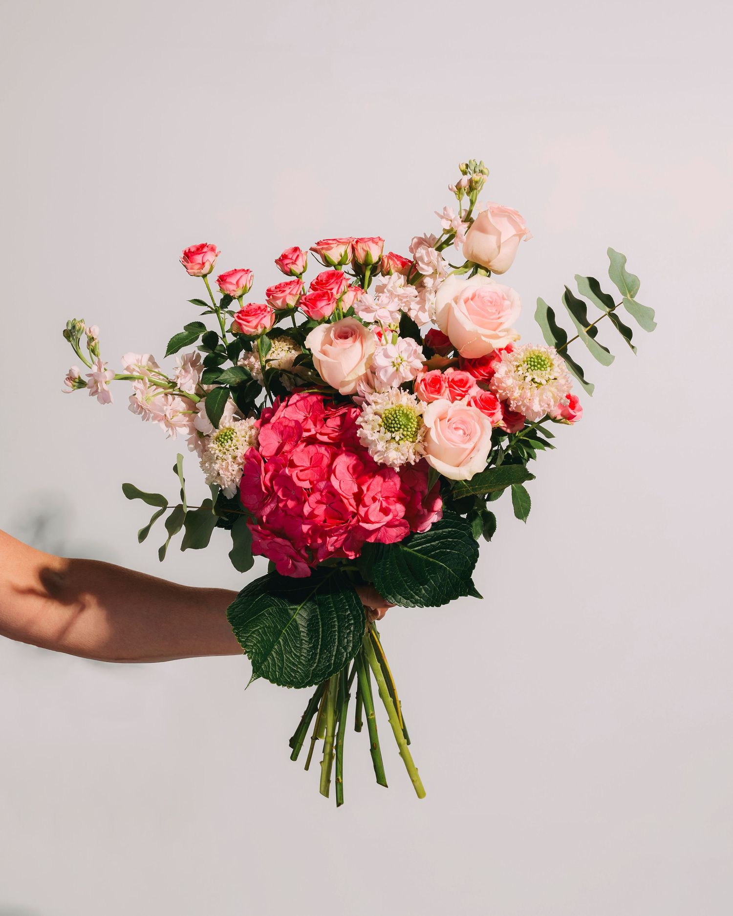 Product Photography