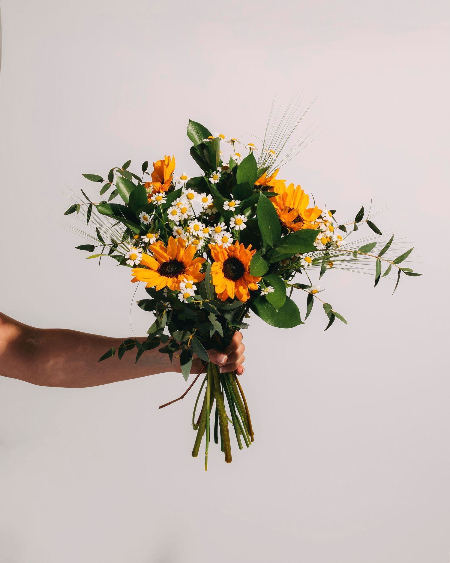 Product Photography