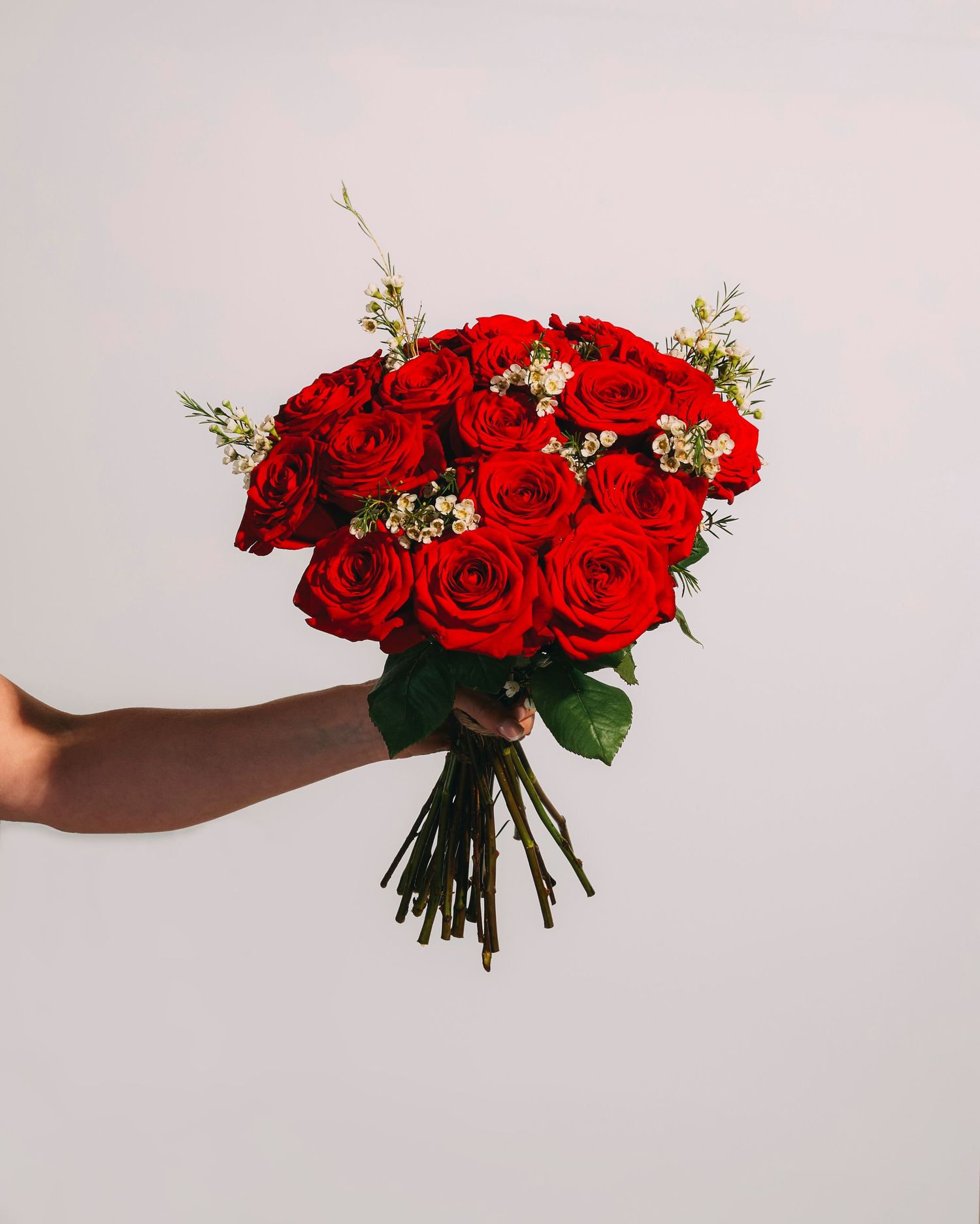 Product Photography