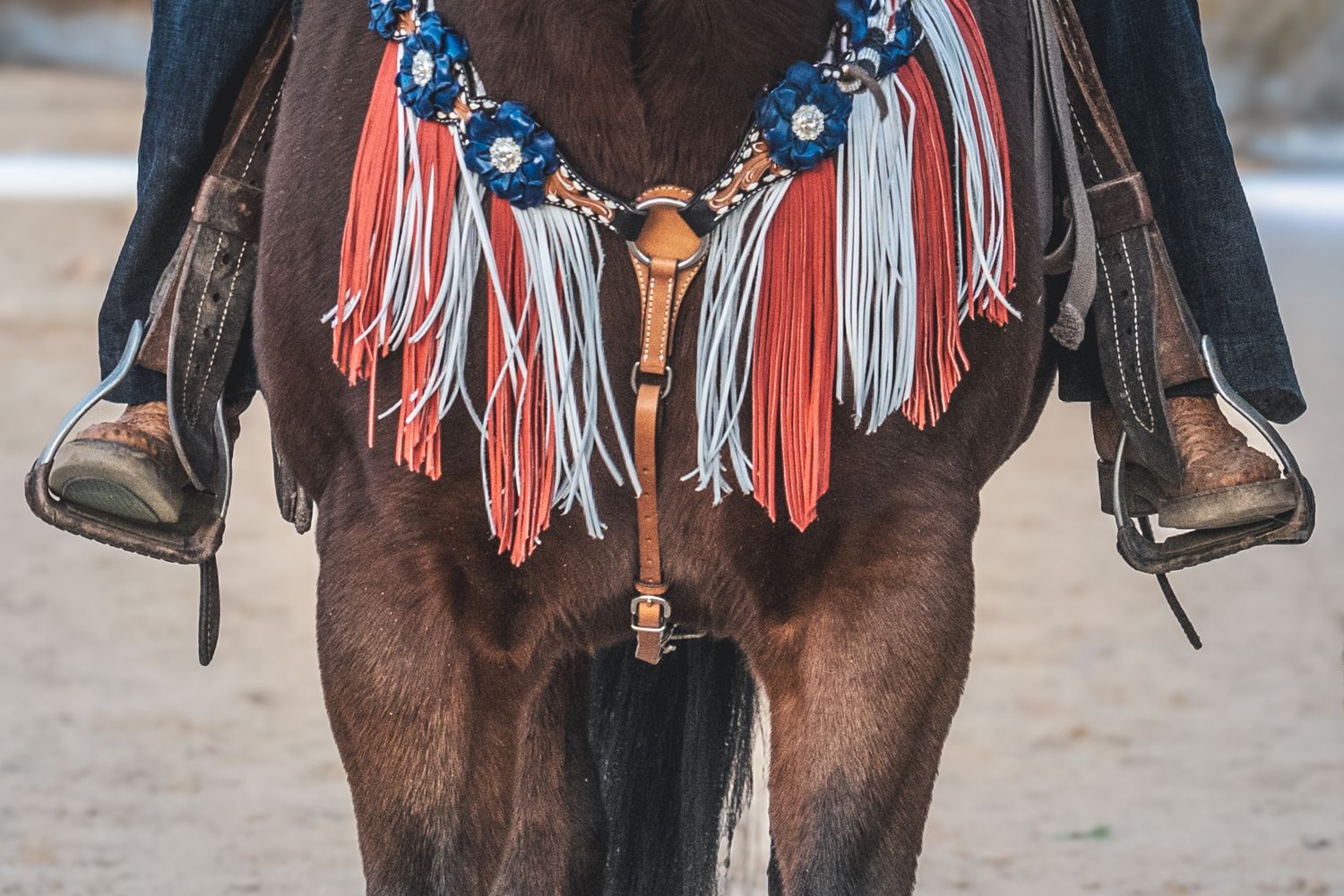 Decorative western horse tack with red white and blue fringe and leather details.