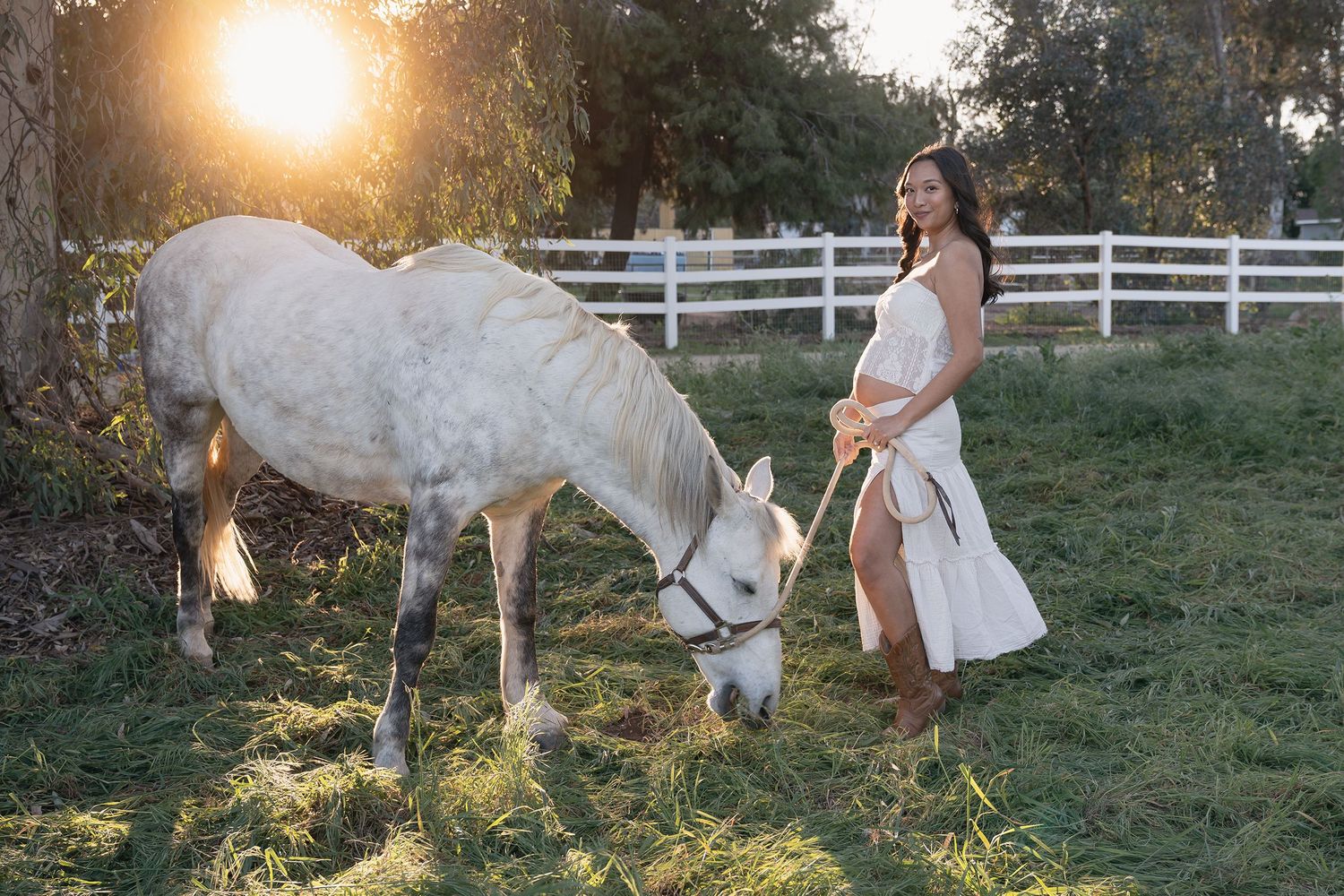 A white horse grazes in a sunlit pasture during golden hour as light filters through trees creating a dreamy atmosphere.