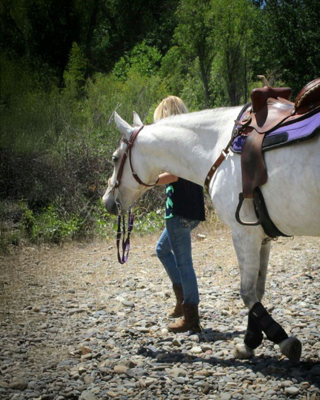 White horse being led along rocky path in natural setting.