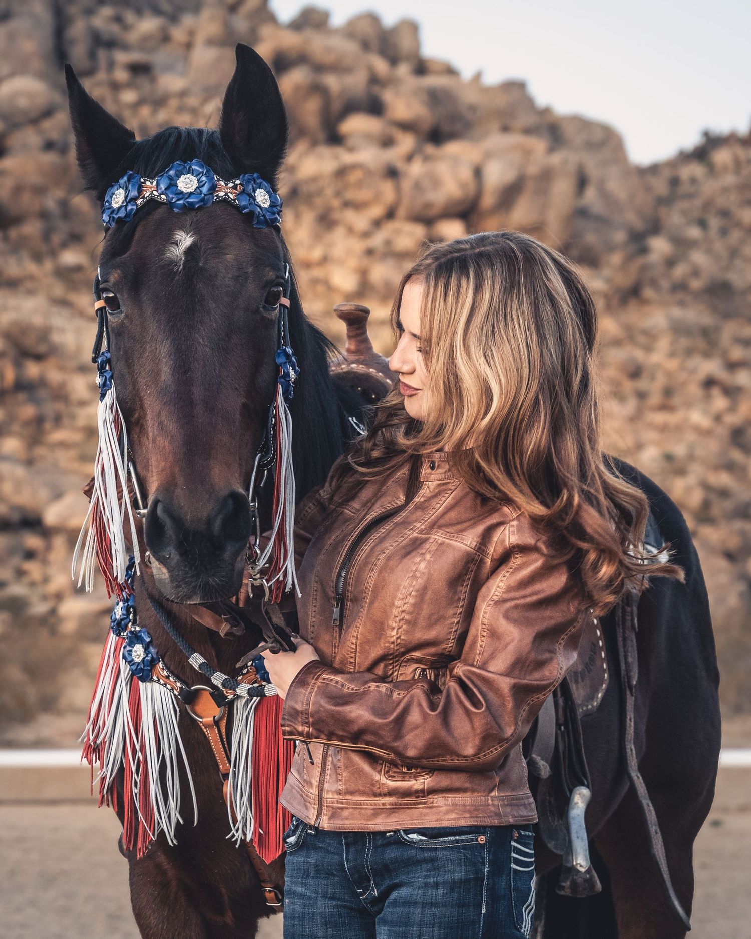 A black horse wearing decorative blue and red tasseled headgear stands in a desert landscape.