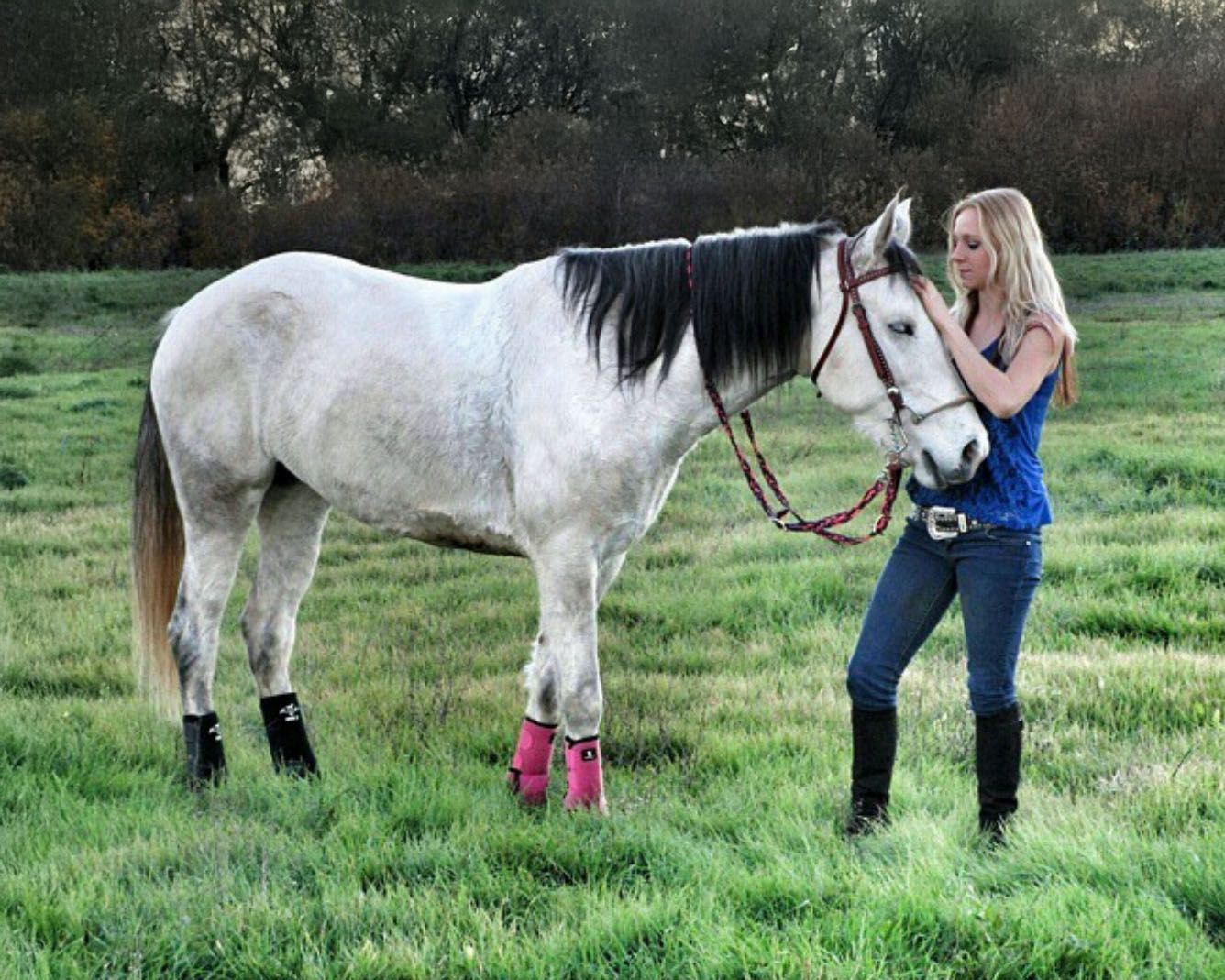 White horse standing in grassy field with handlers visible.