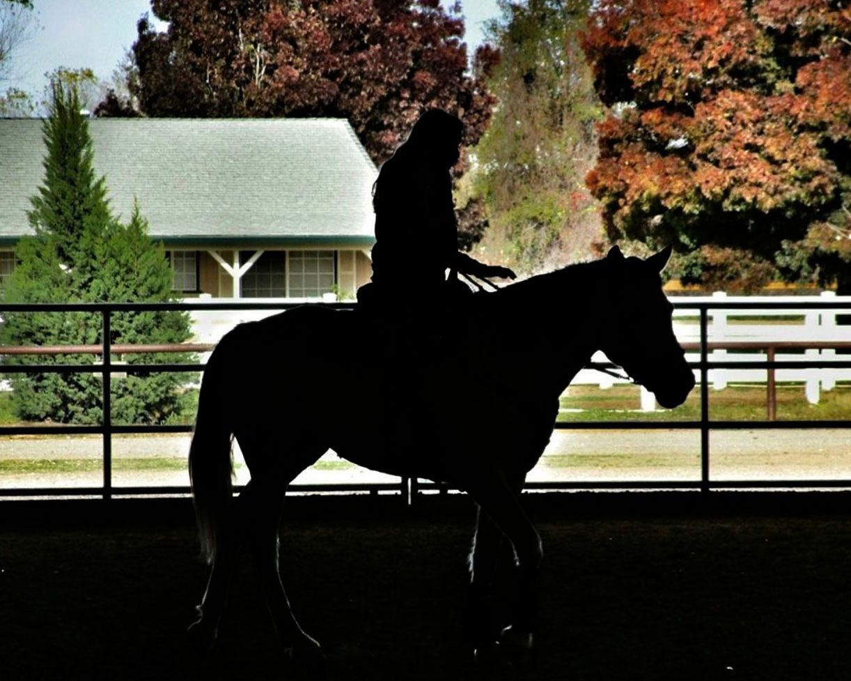 Silhouettes of horse and rider against autumn trees at sunset.