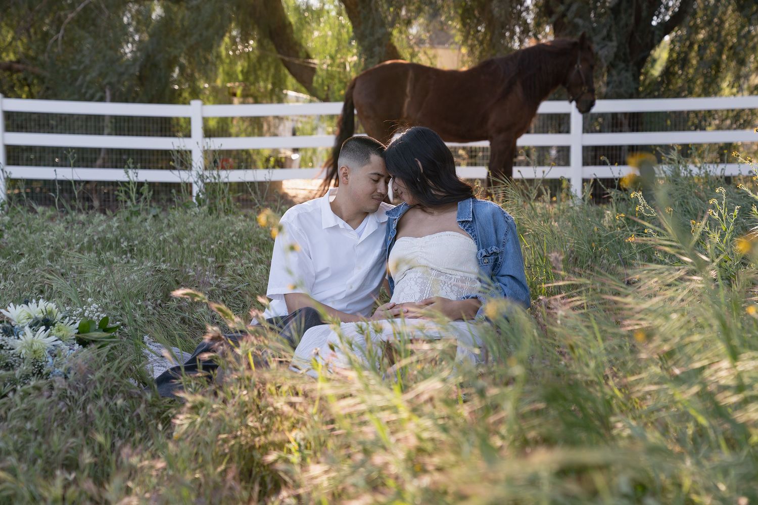 A couple sits together in a grassy field with white fencing and sunlit trees in the background.