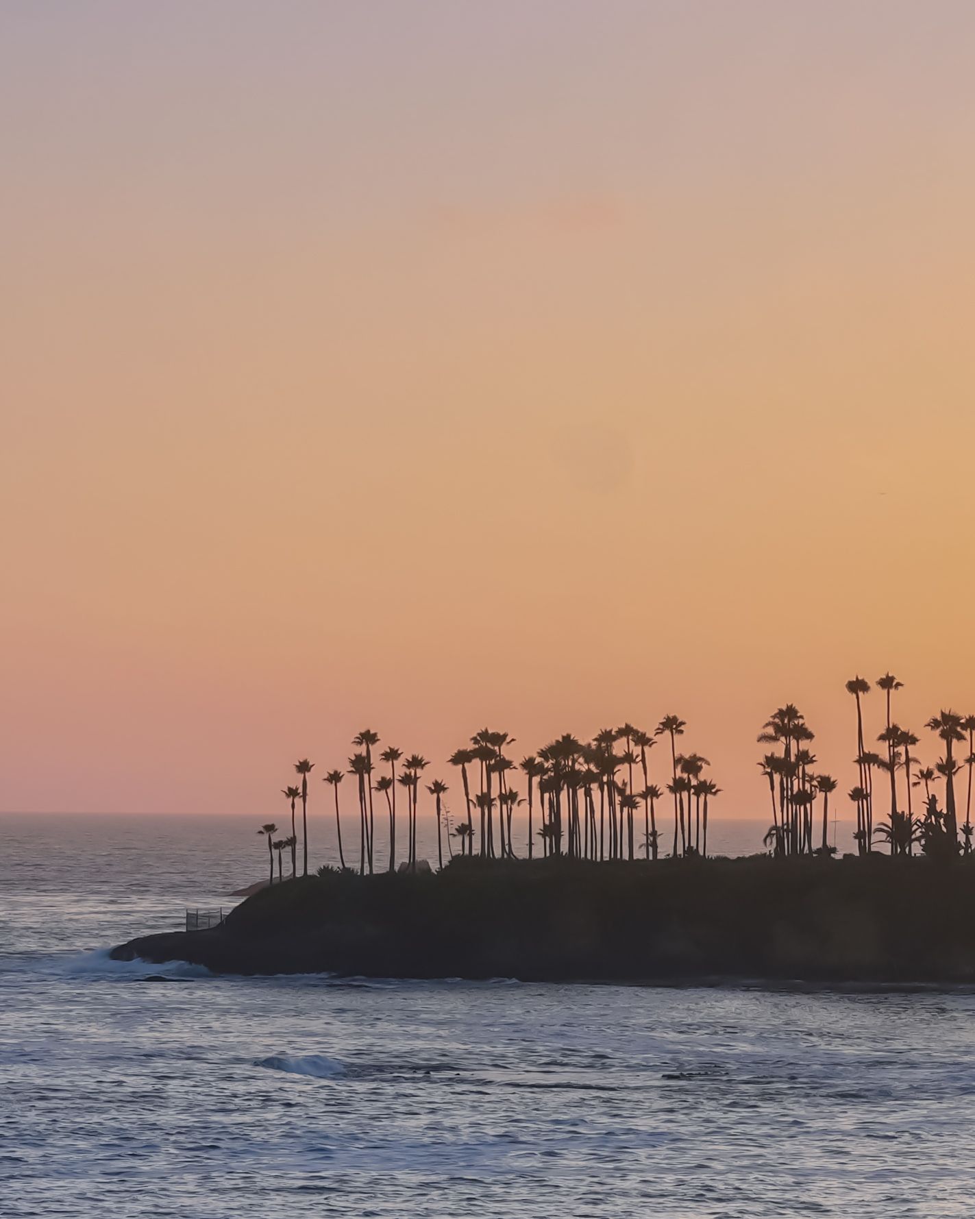 Palm trees silhouetted against a pink sunset sky on a coastal cliff overlooking the ocean waves.