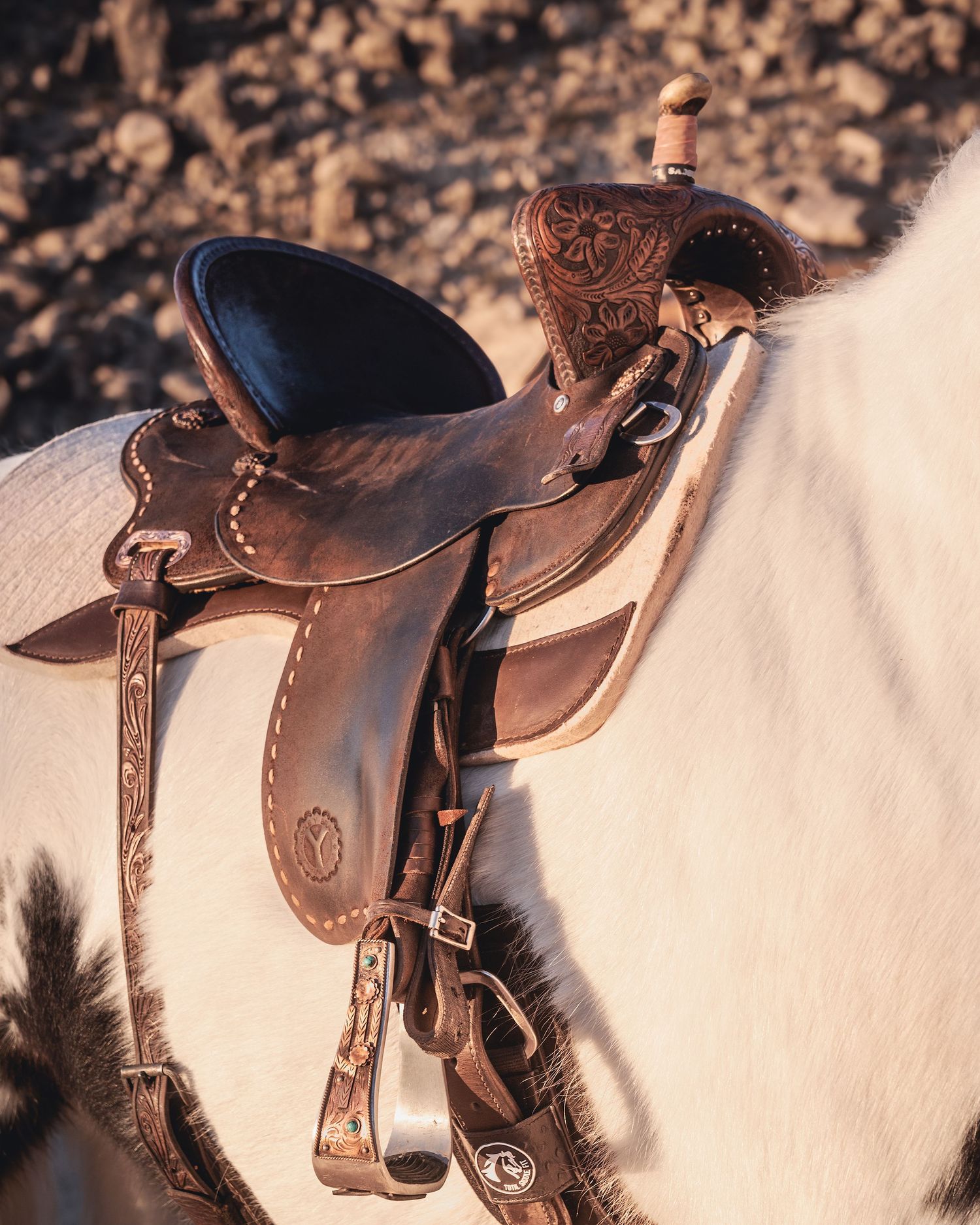 Close-up of an ornate western leather saddle with detailed tooling at sunset.
