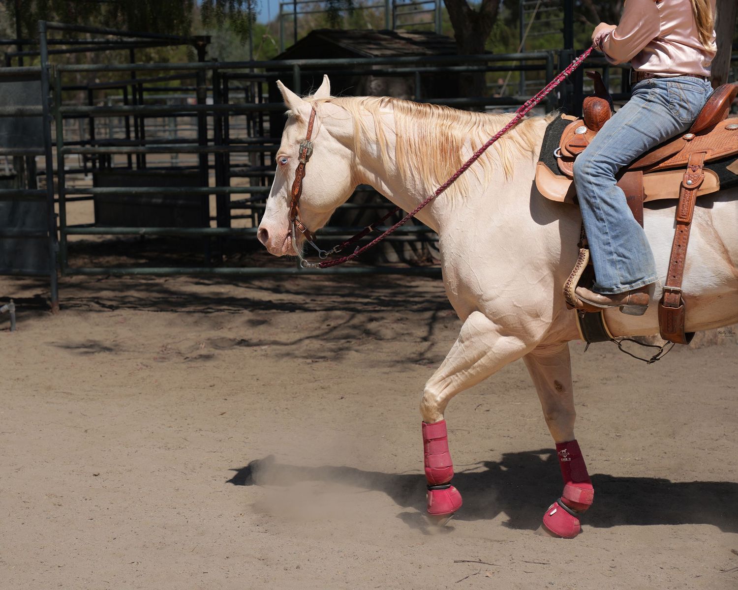 Horse with rider wearing pink boots walking in training arena.