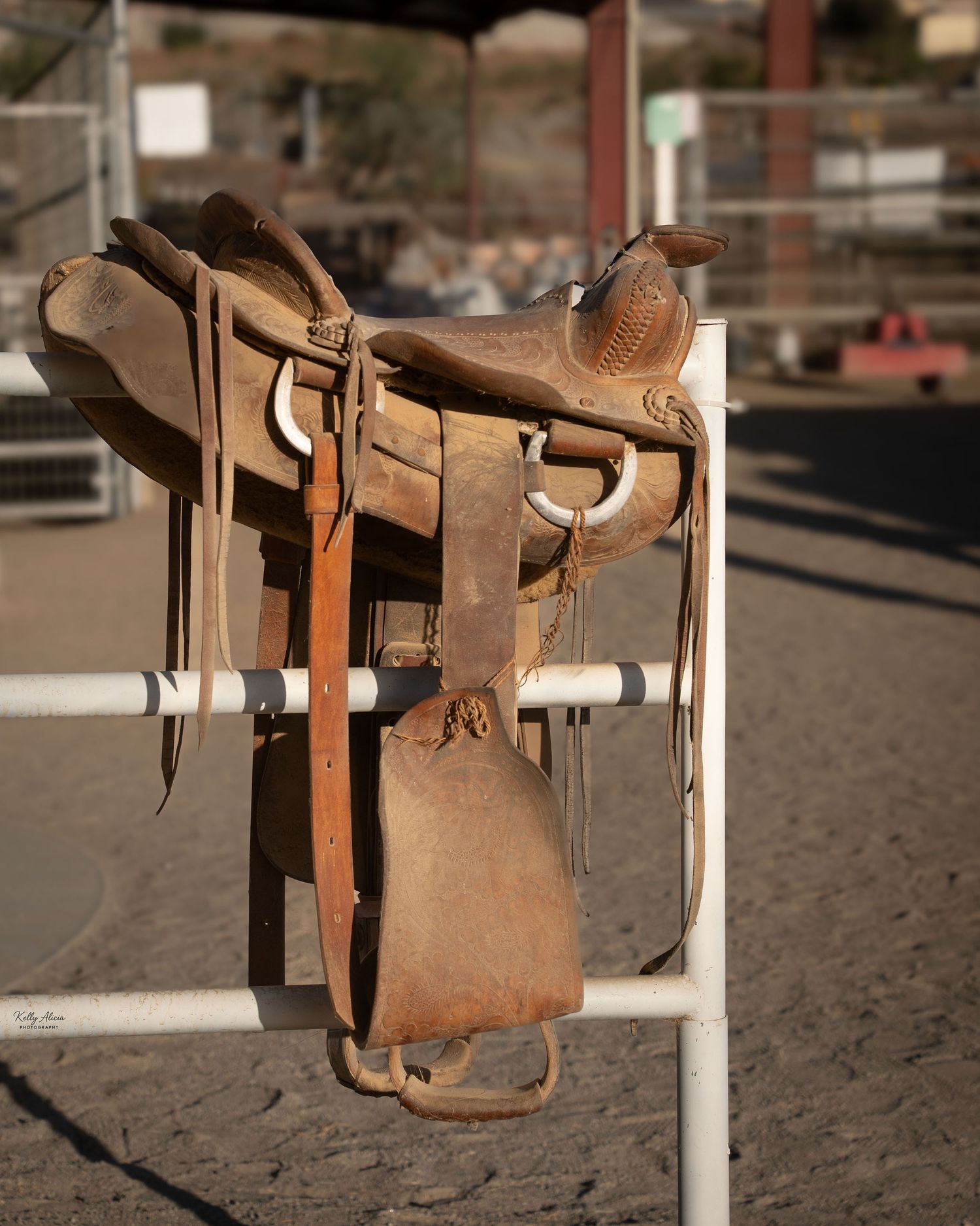 Vintage leather horse saddles displayed on white metal racks.